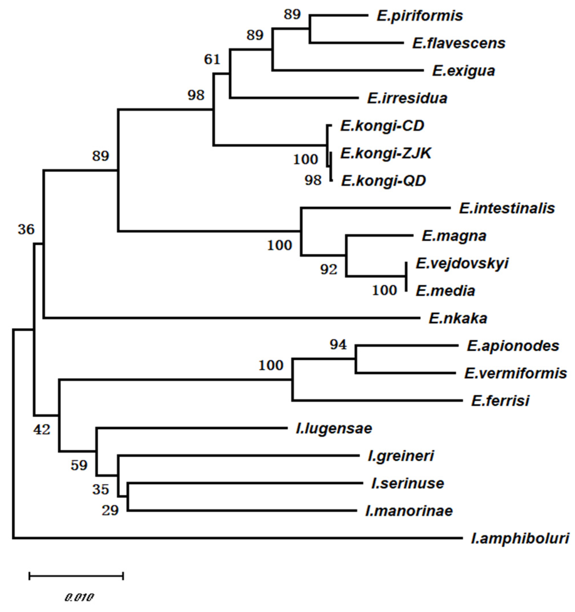 Animals 14 03524 g005
