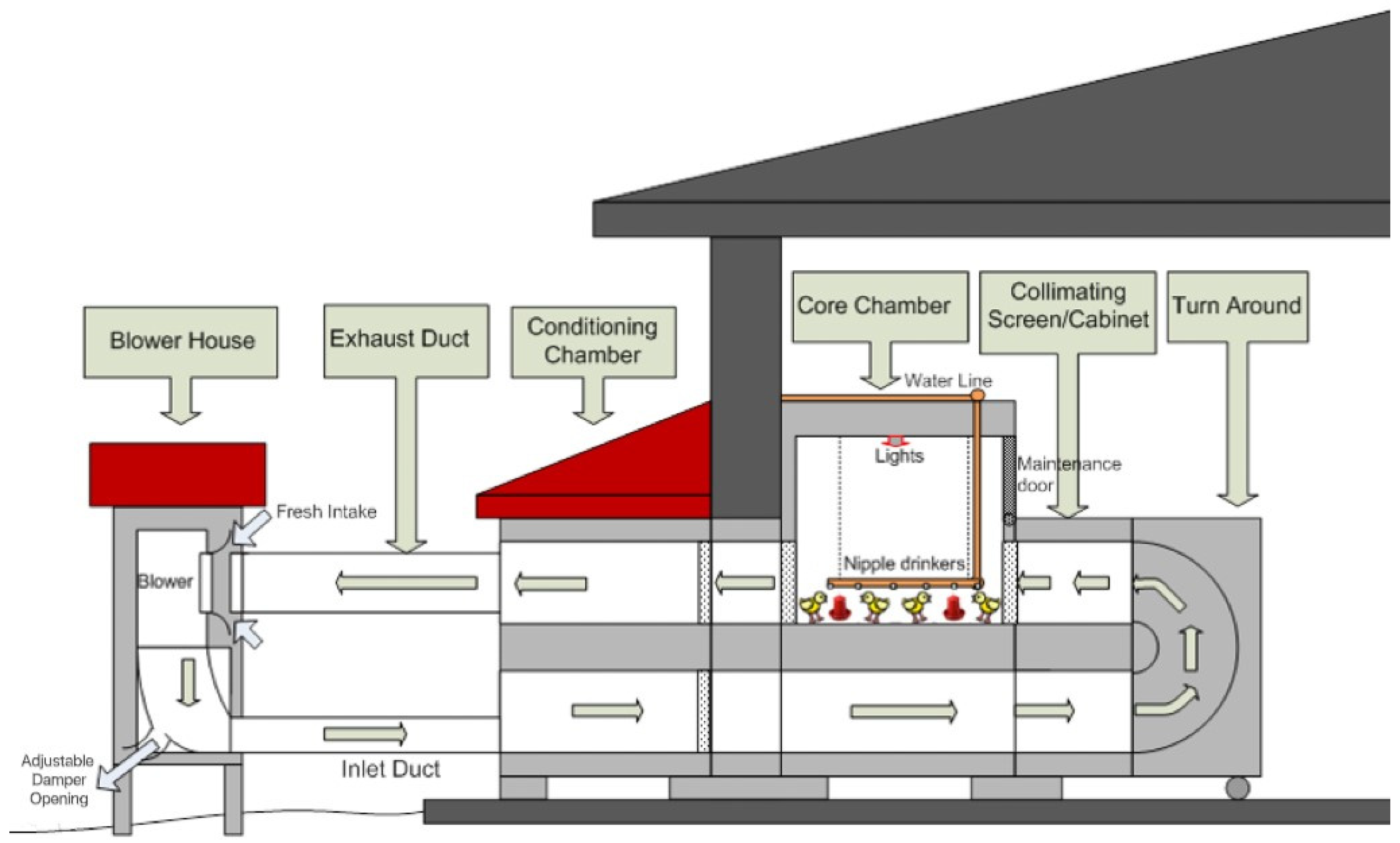 Animals 14 03525 g001