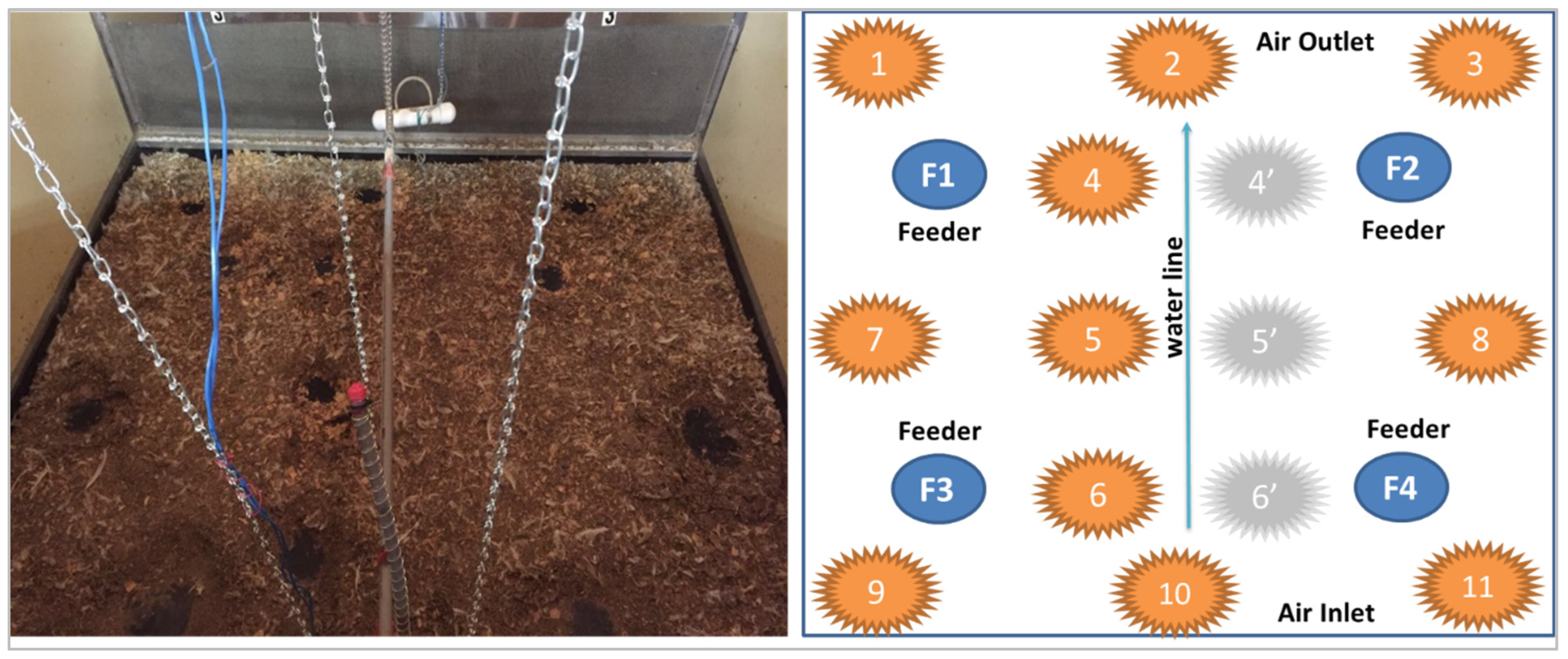 Animals 14 03525 g002