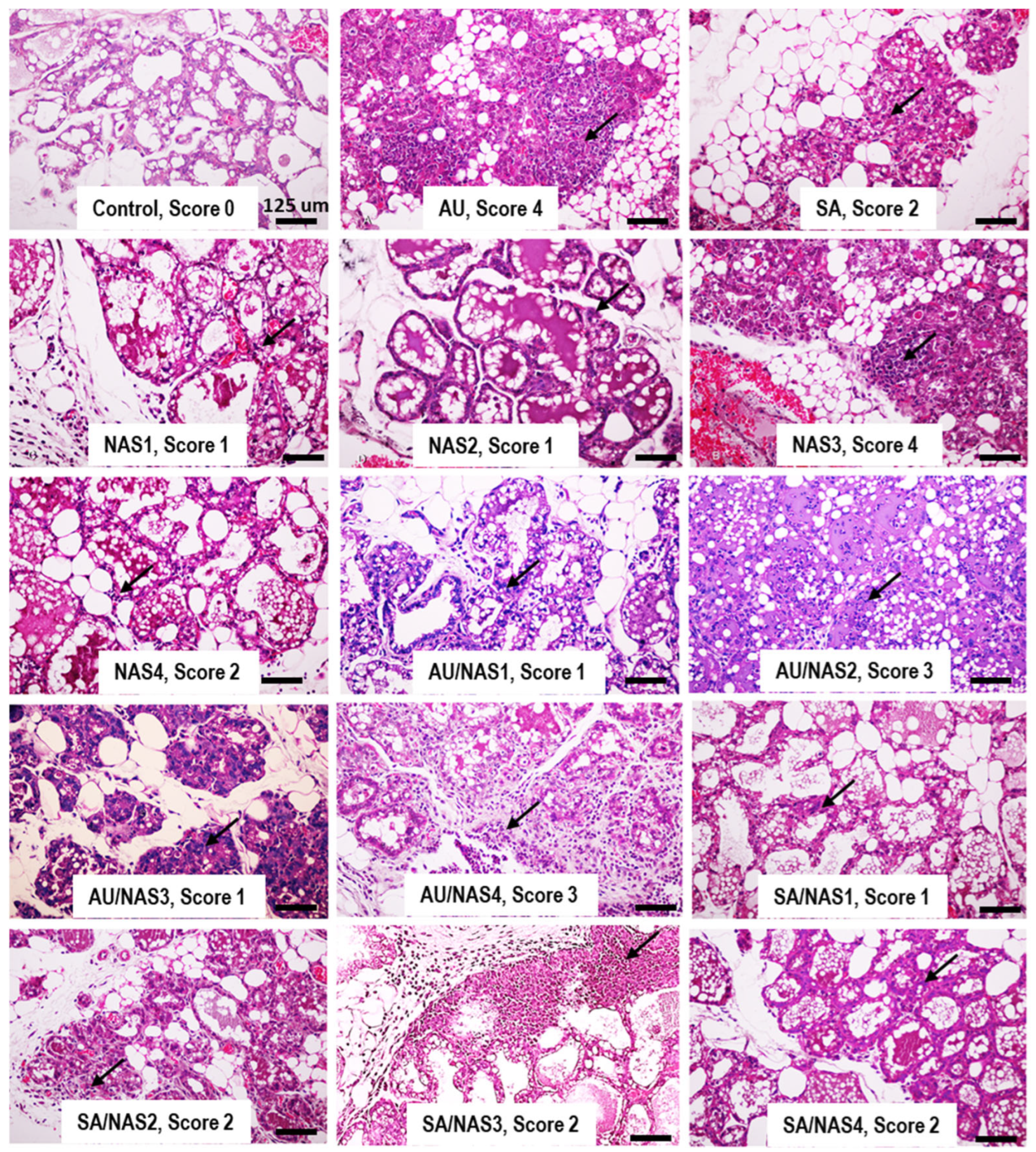 Animals 14 03526 g002