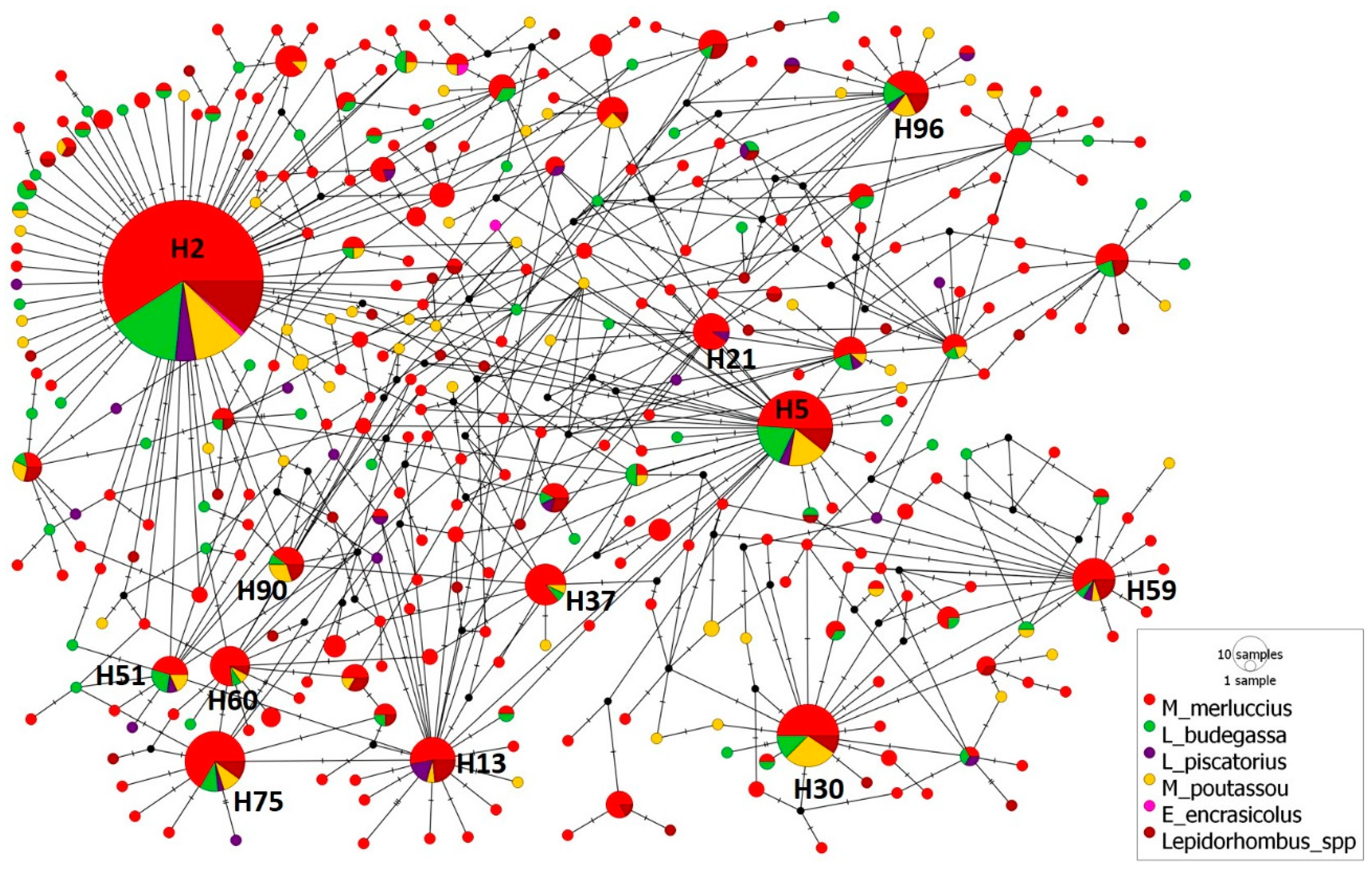 Animals 14 03531 g003