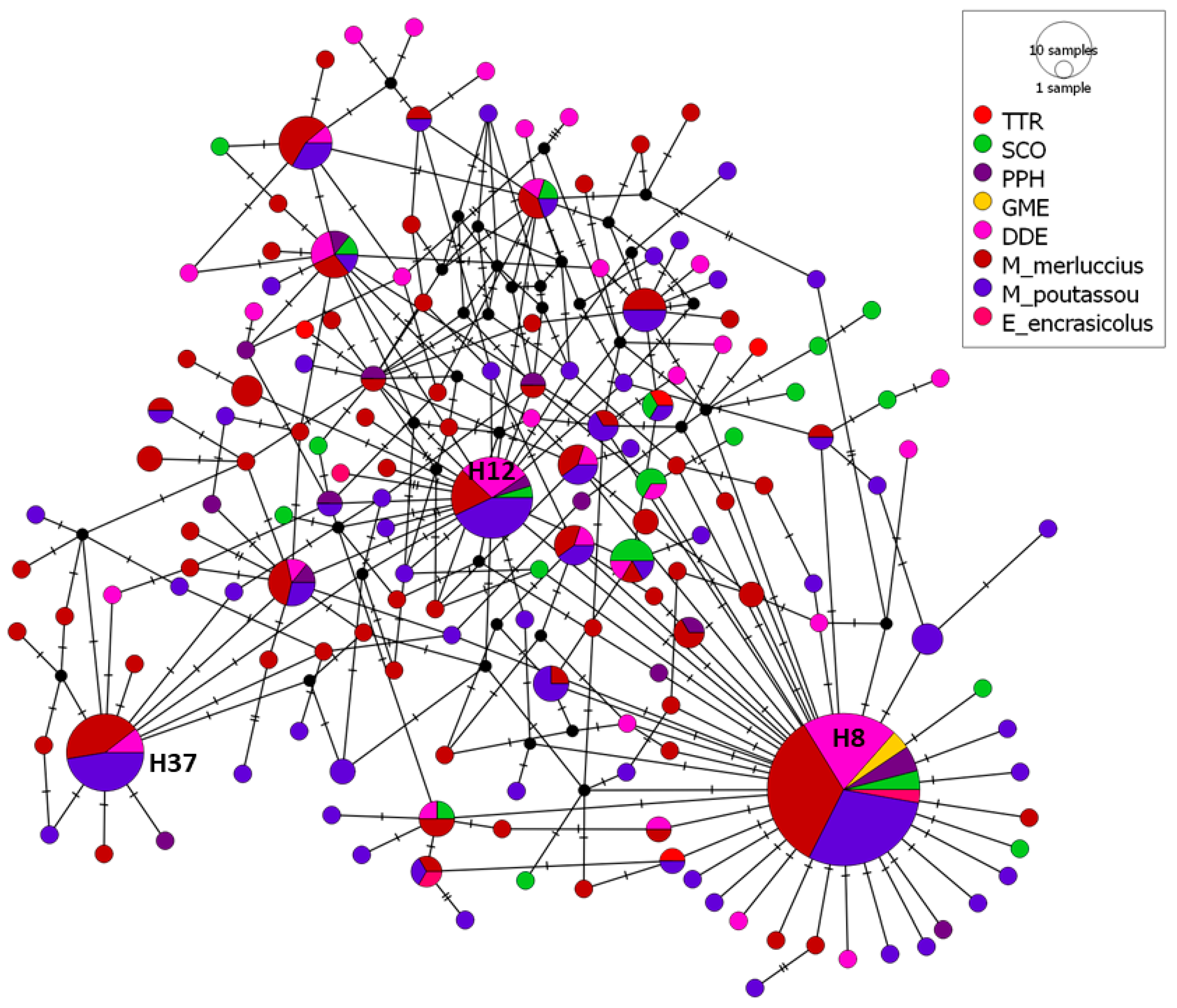 Animals 14 03531 g004