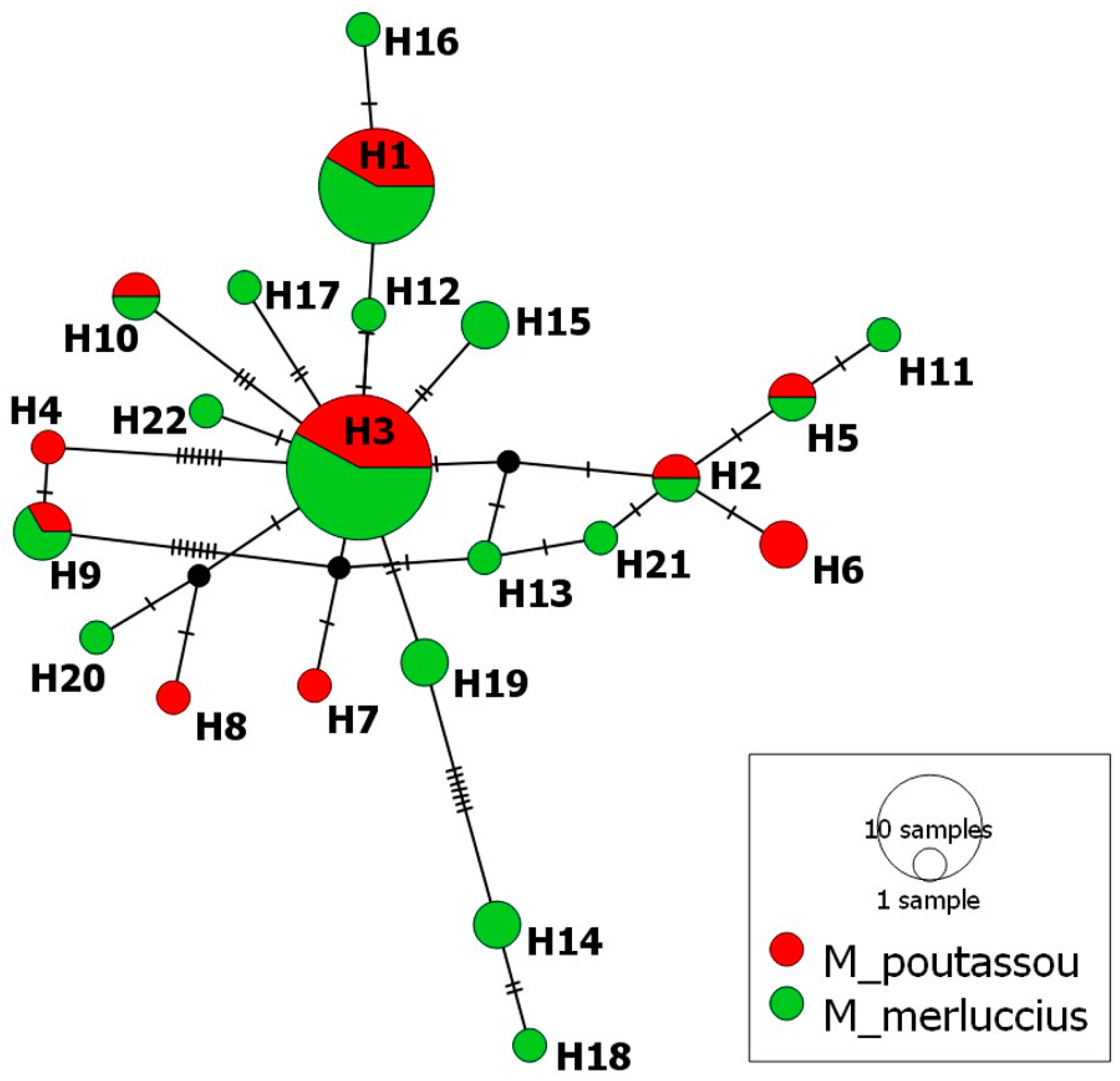 Animals 14 03531 g005