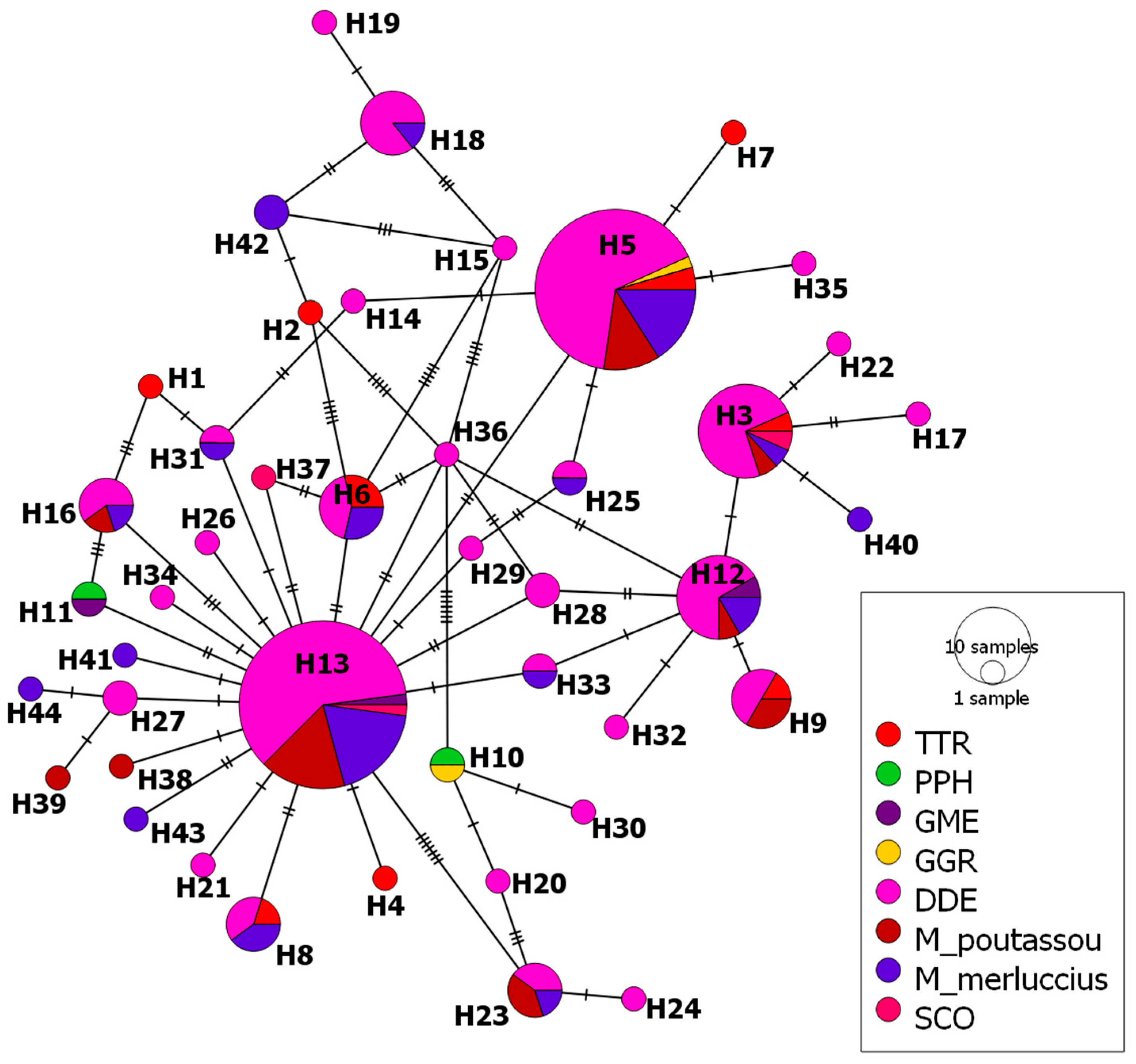 Animals 14 03531 g006