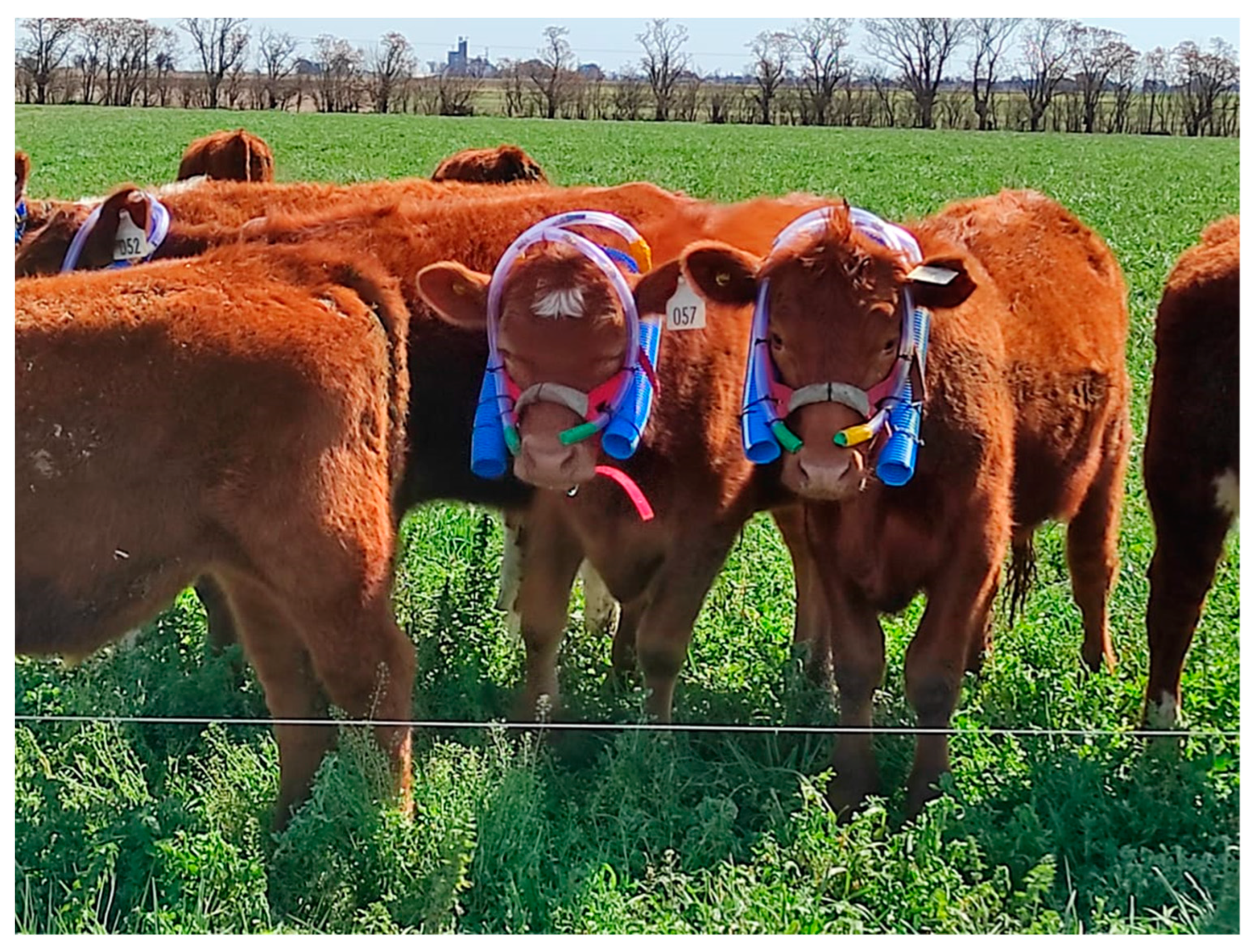 Animals 14 03535 g002