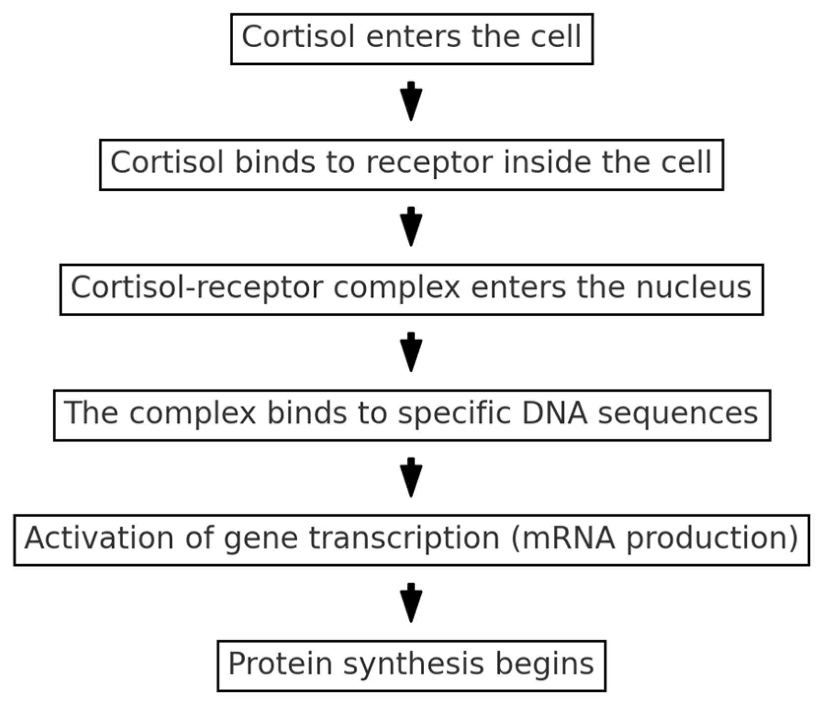 Animals 14 03536 g004
