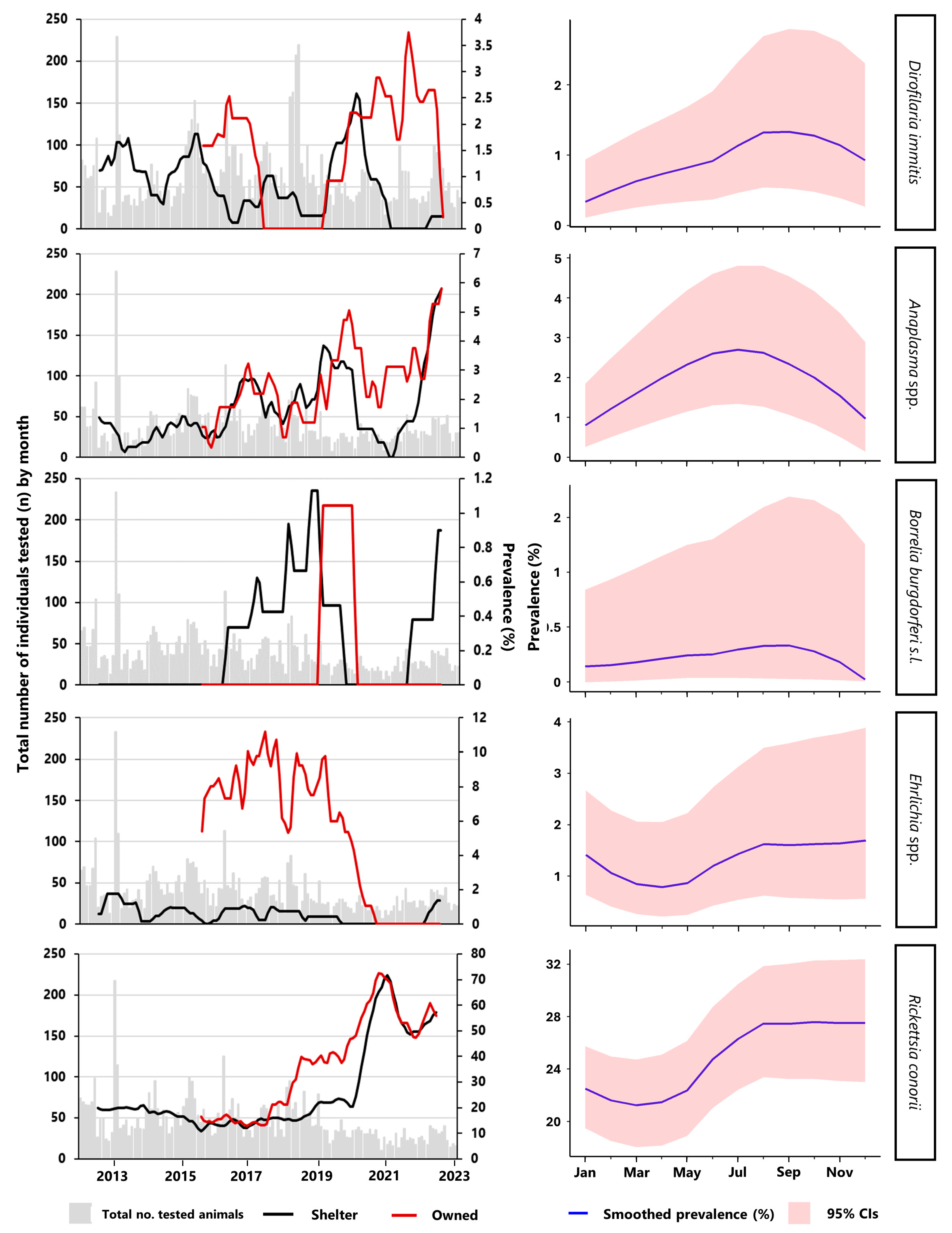 Animals 14 03539 g001
