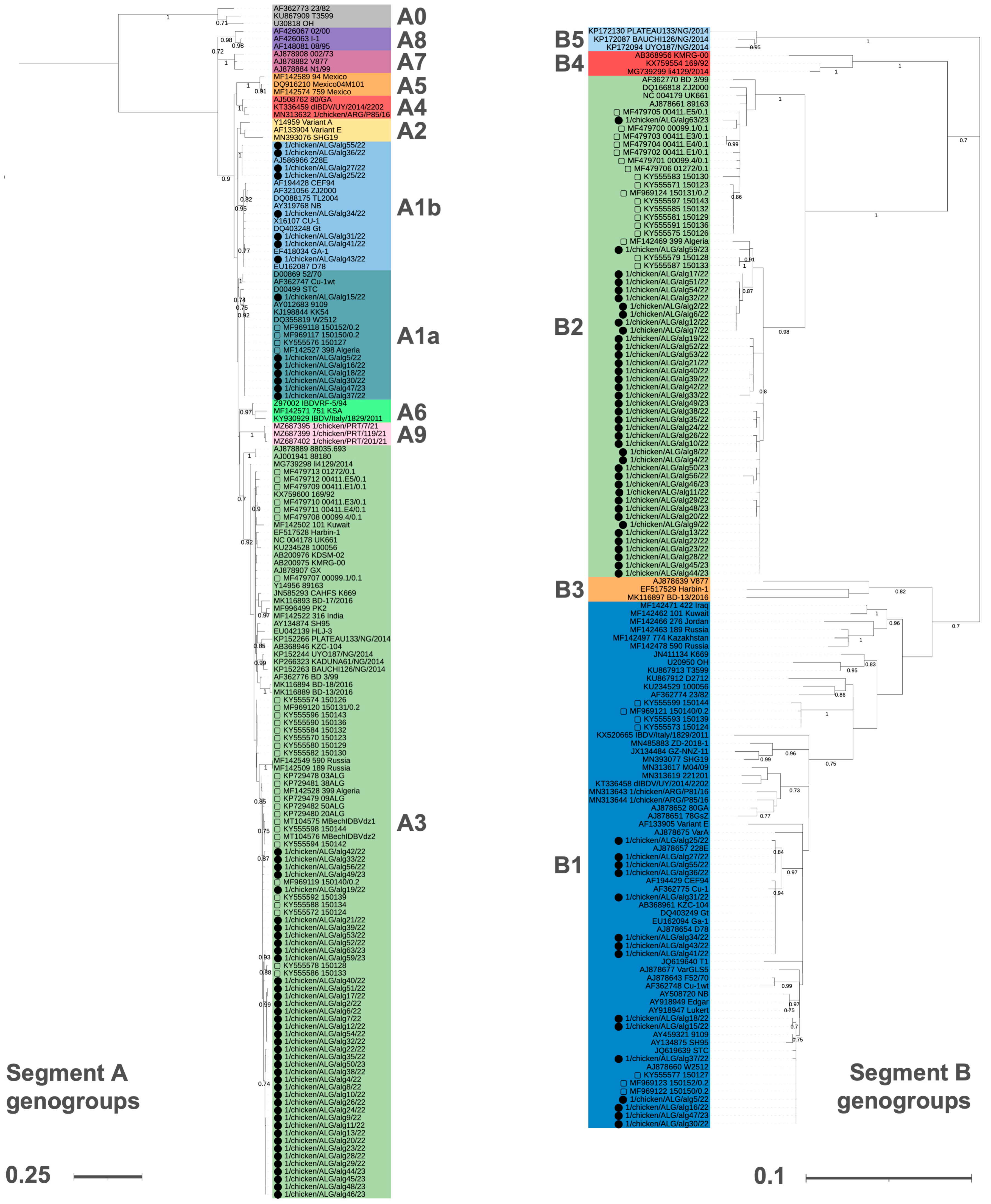 Animals 14 03543 g001