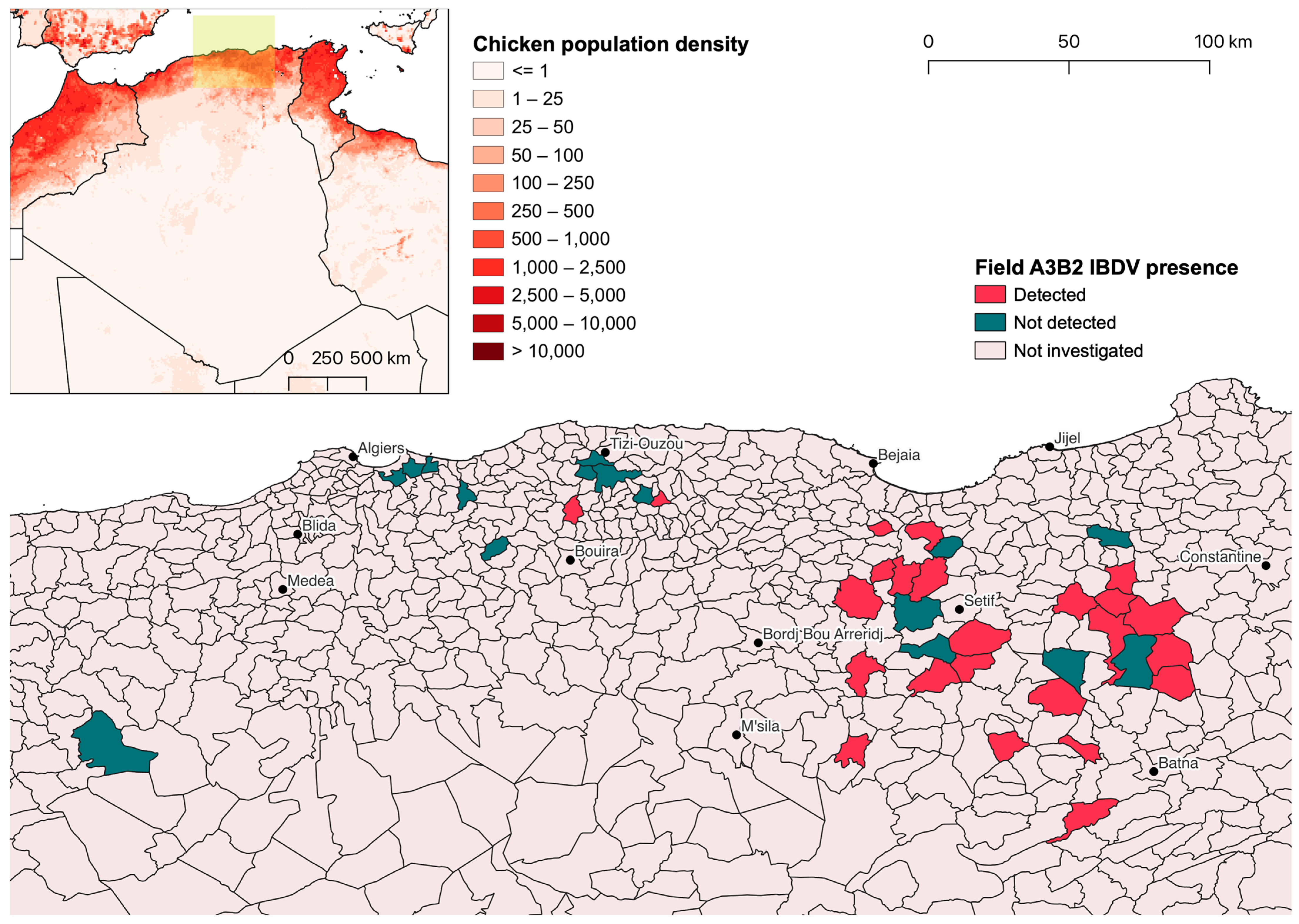 Animals 14 03543 g002