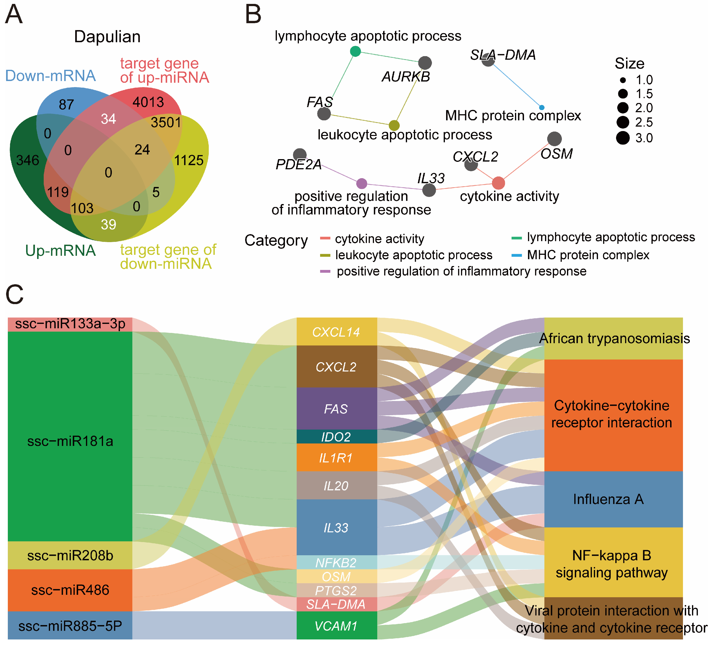 Animals 14 03546 g006 Animals 14 03546 g006