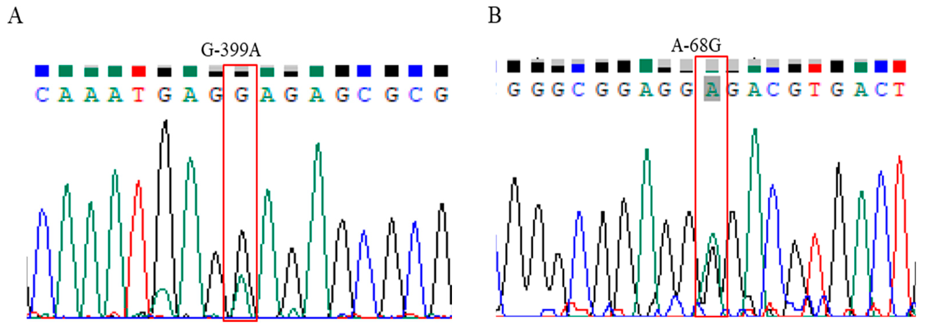 Animals 14 03552 g002
