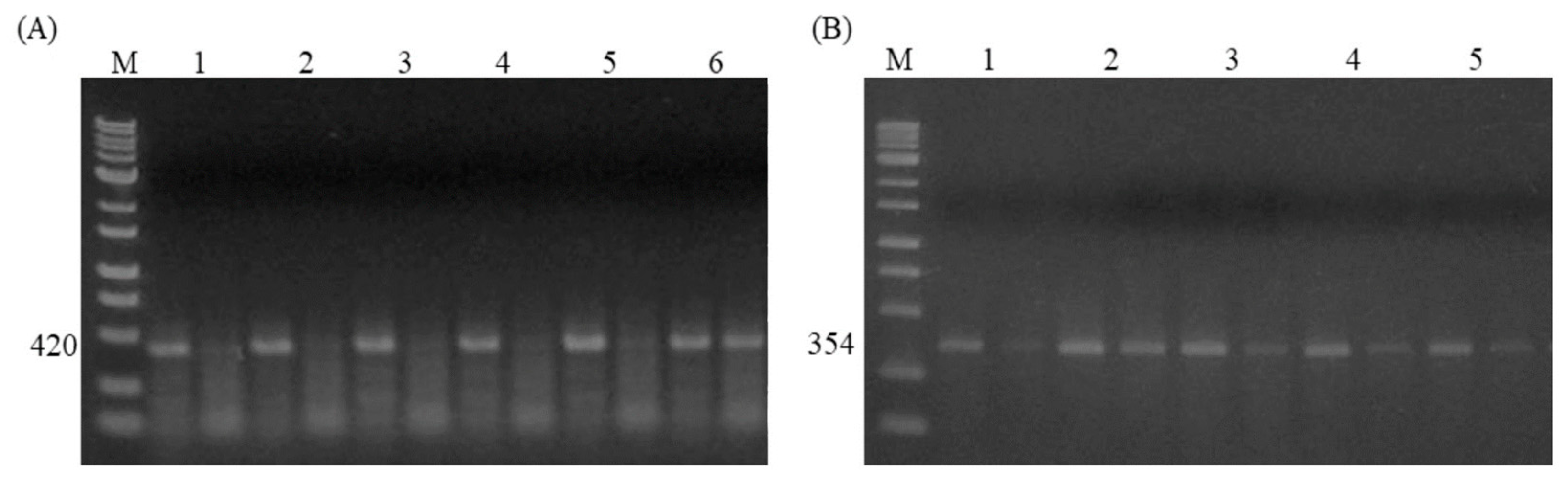 Animals 14 03552 g004