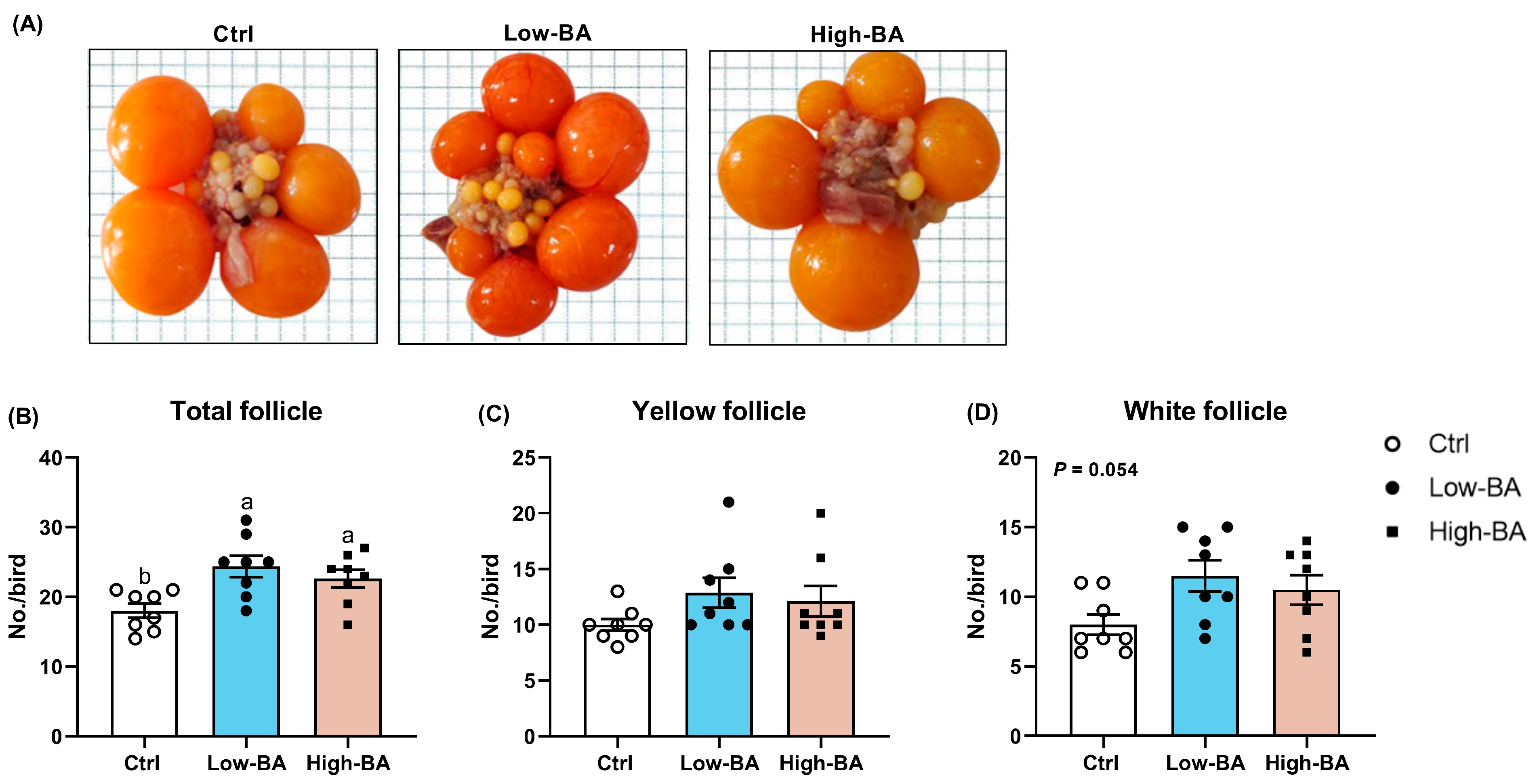 Animals 14 03554 g002