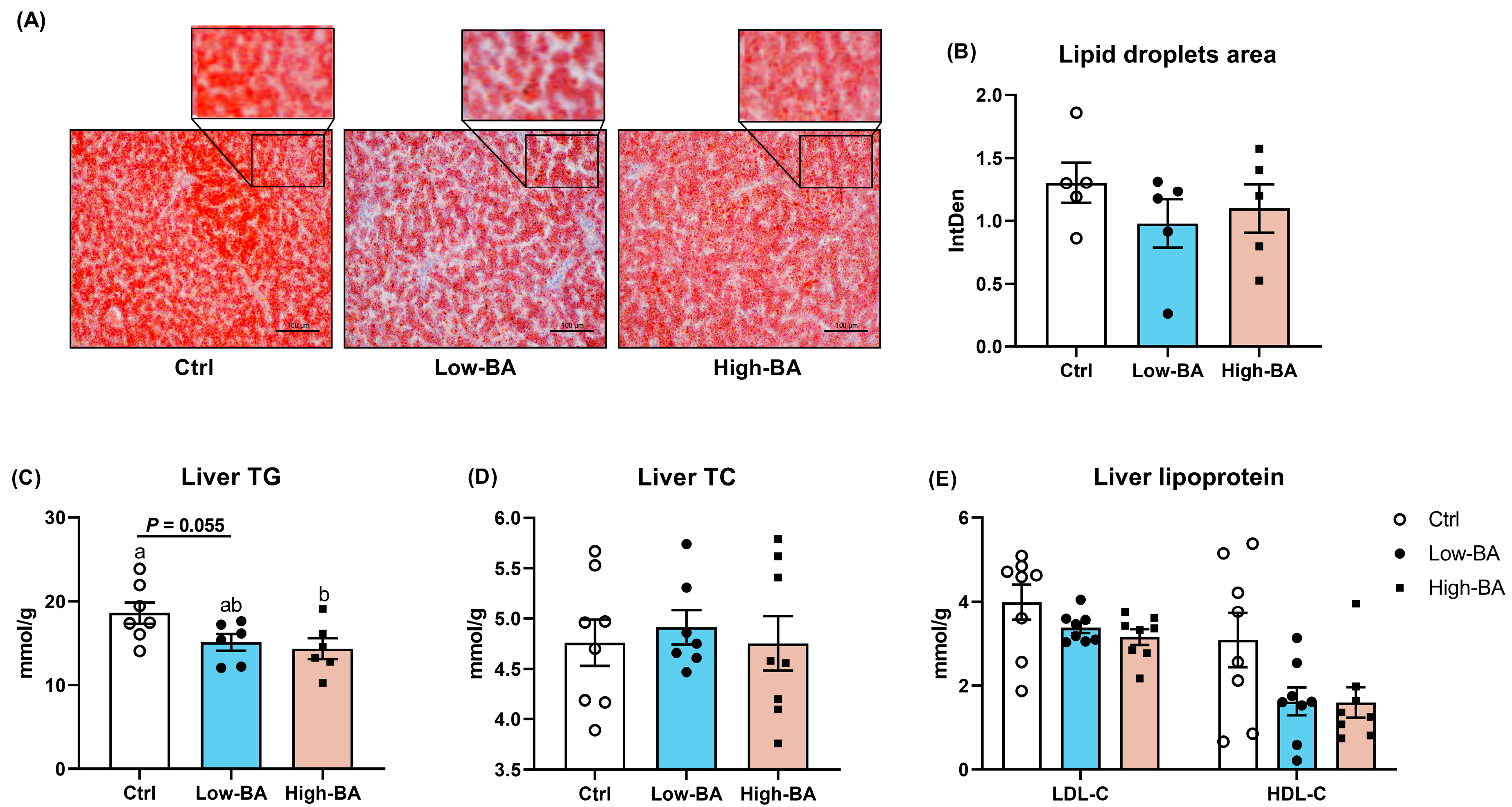 Animals 14 03554 g005