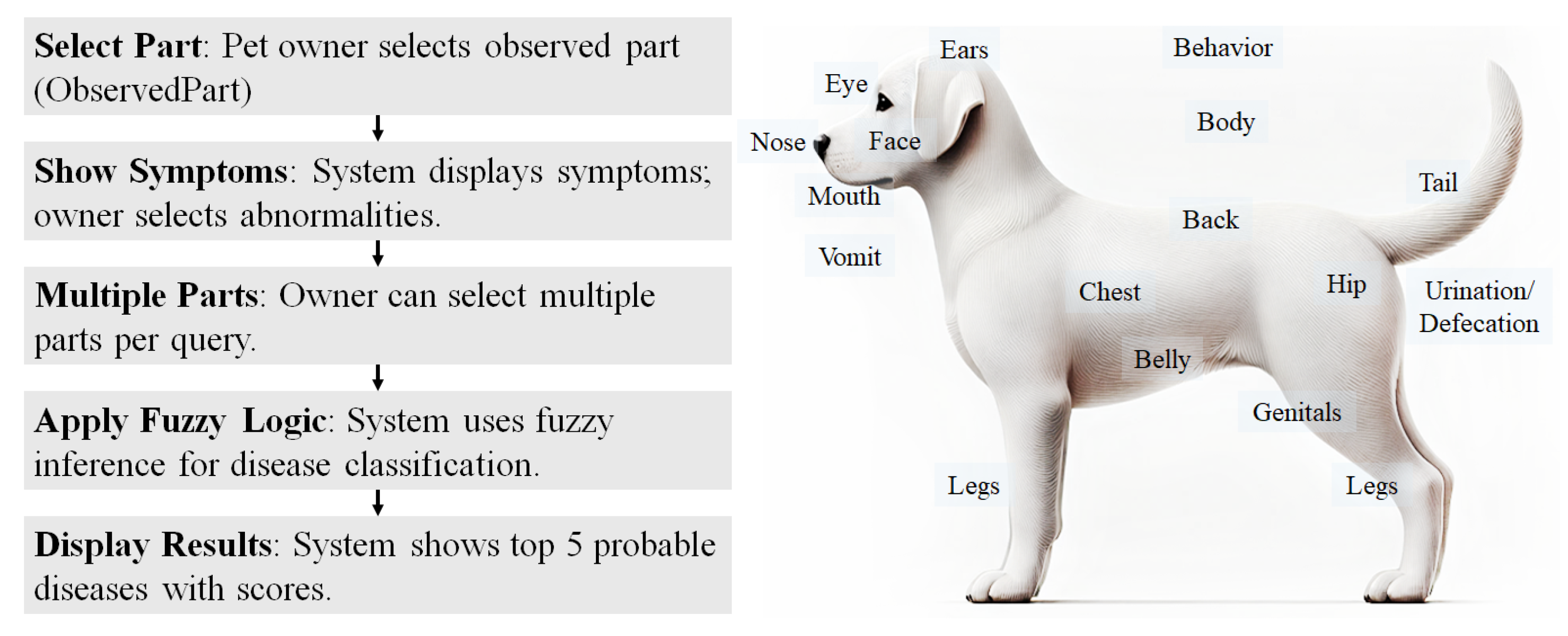 Animals 14 03561 g001