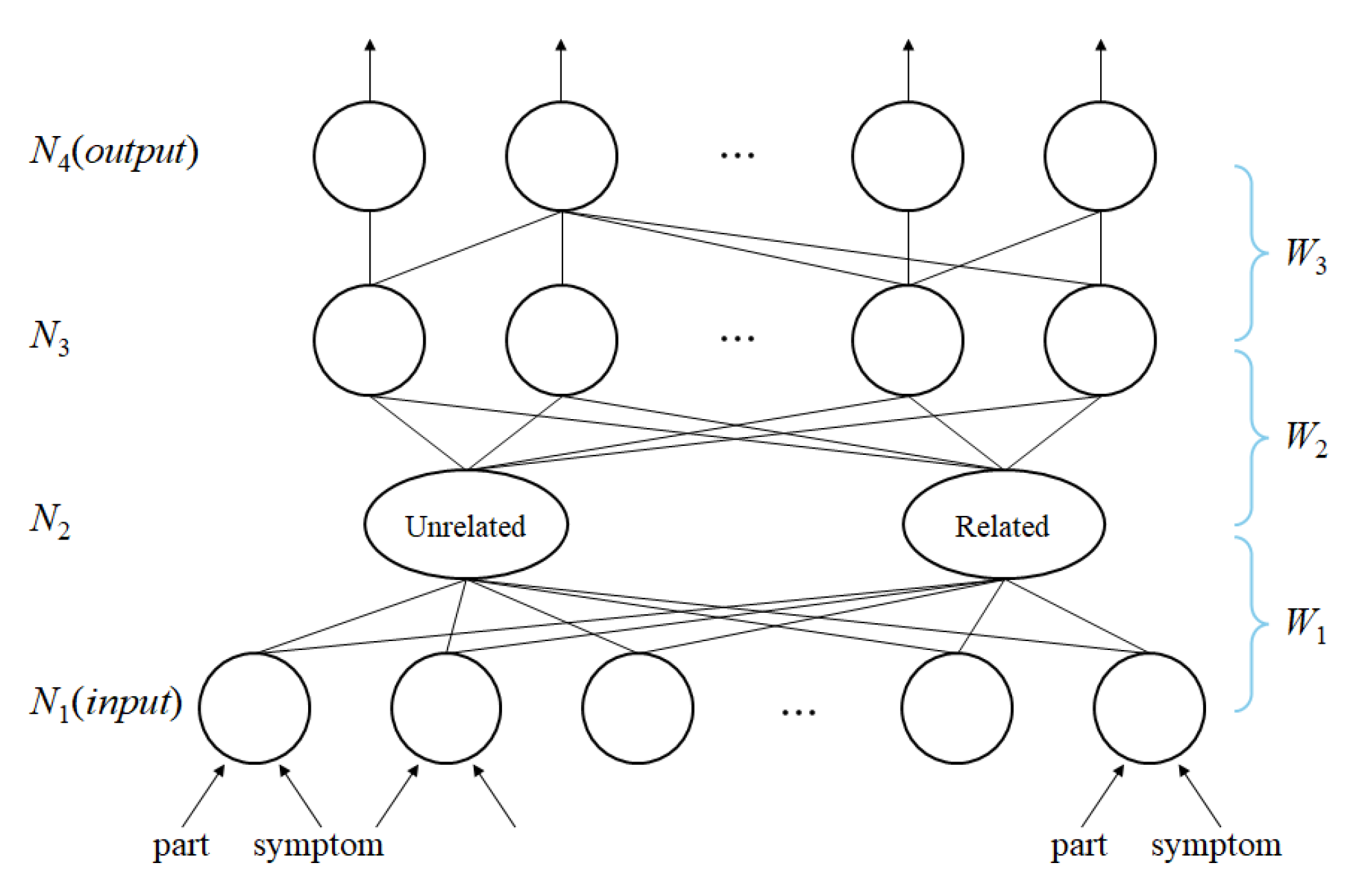 Animals 14 03561 g003