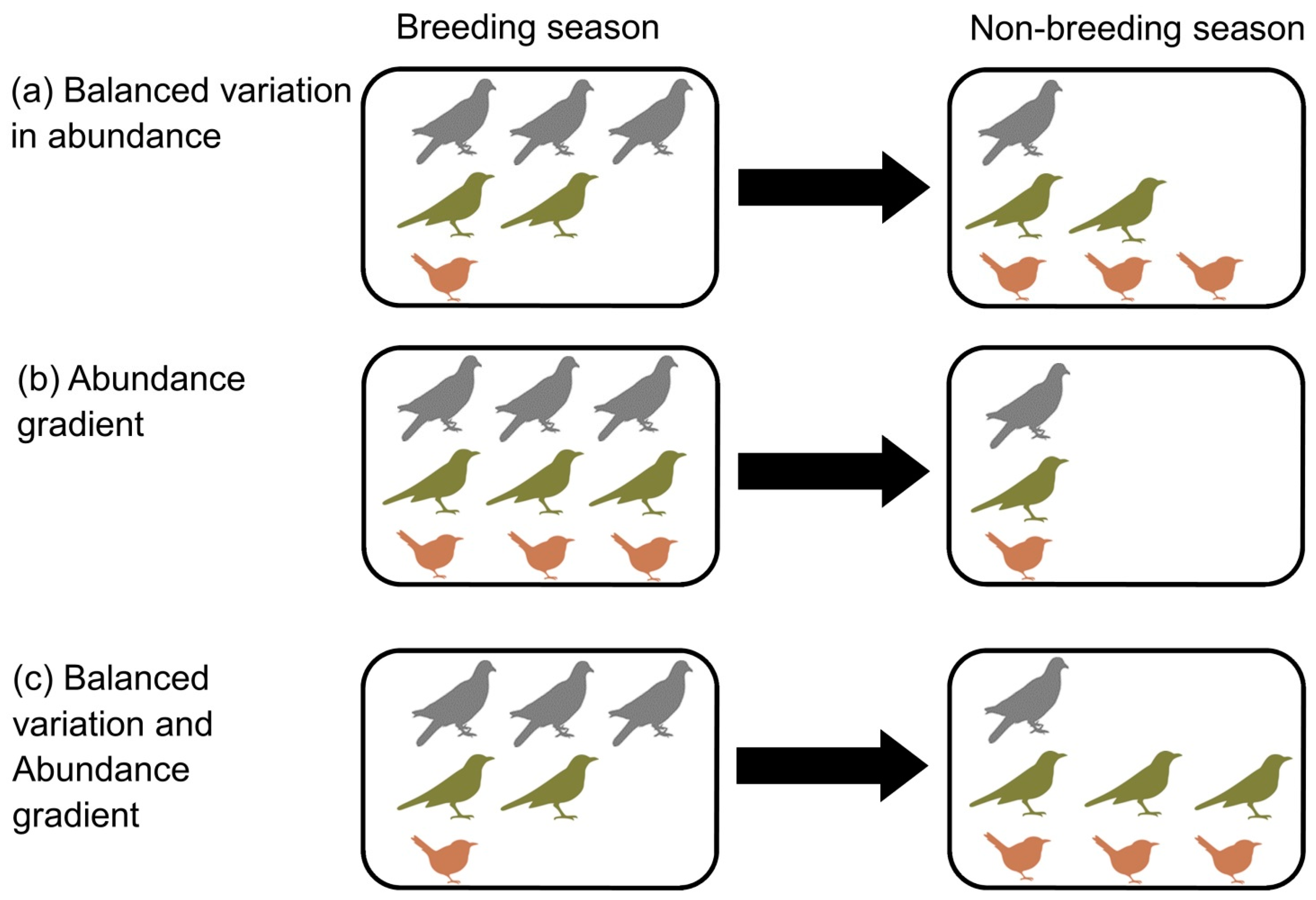 Animals 14 03564 g001