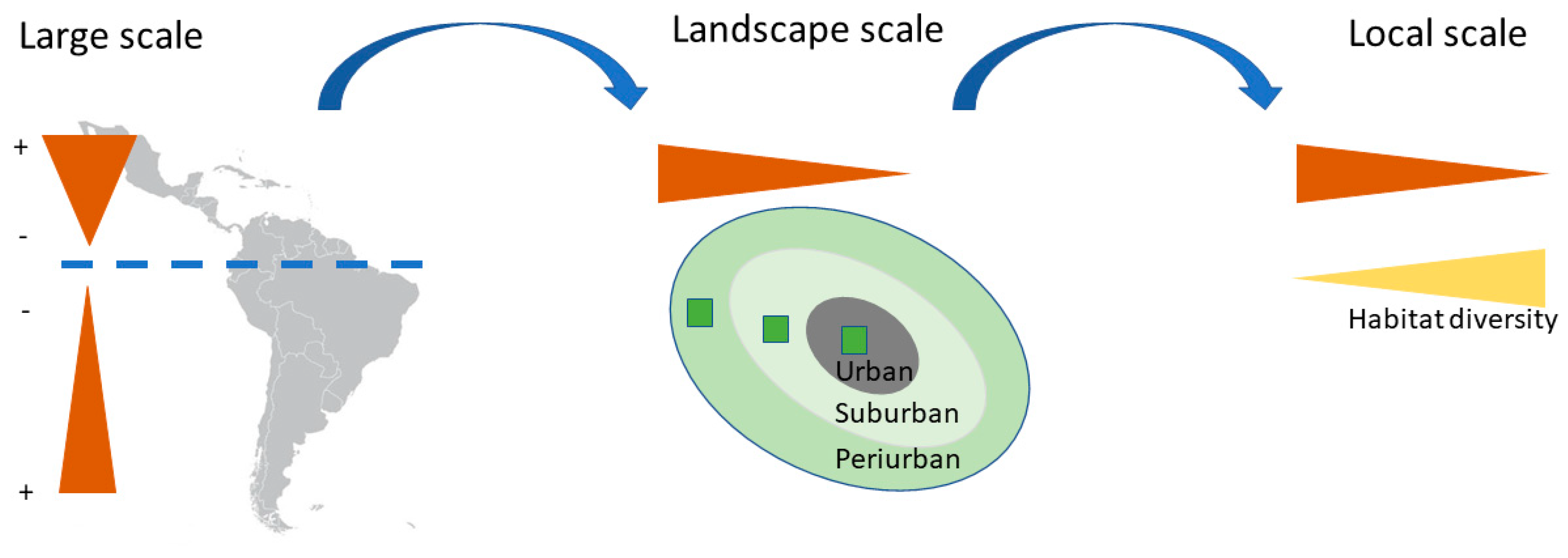 Animals 14 03564 g006