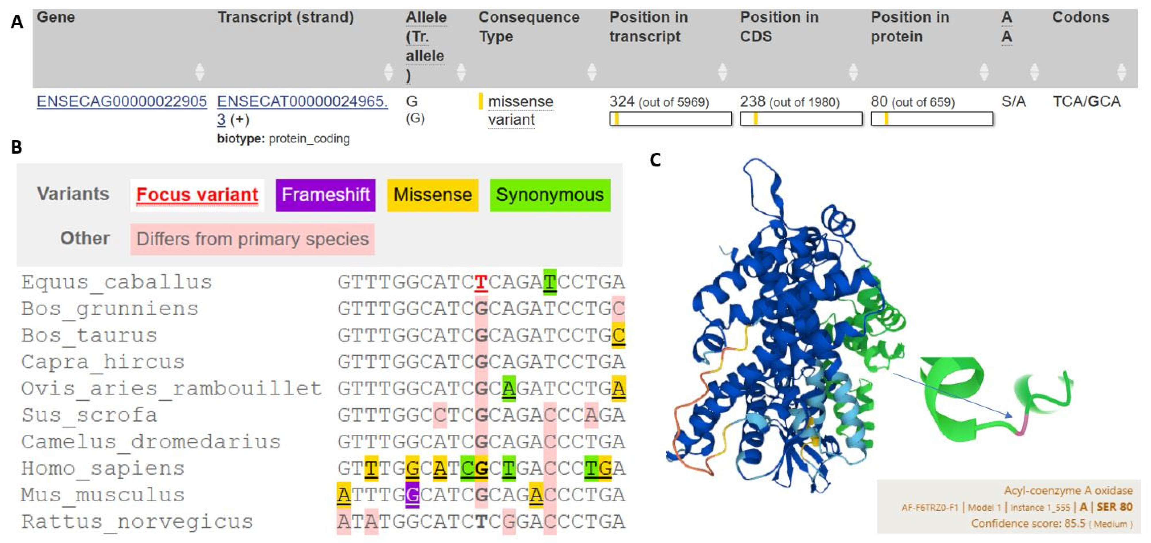 Animals 14 03566 g005