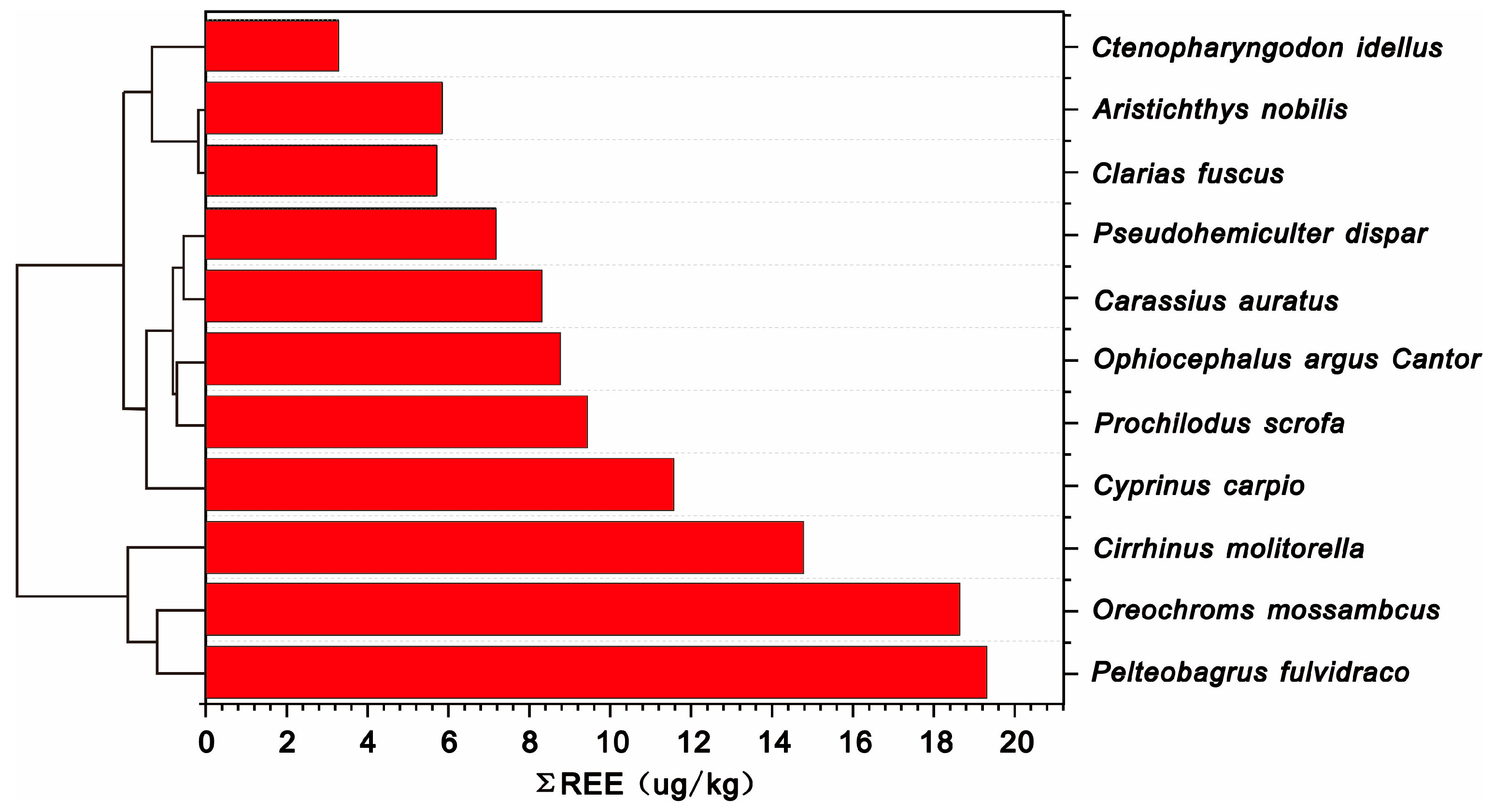 Animals 14 03567 g002
