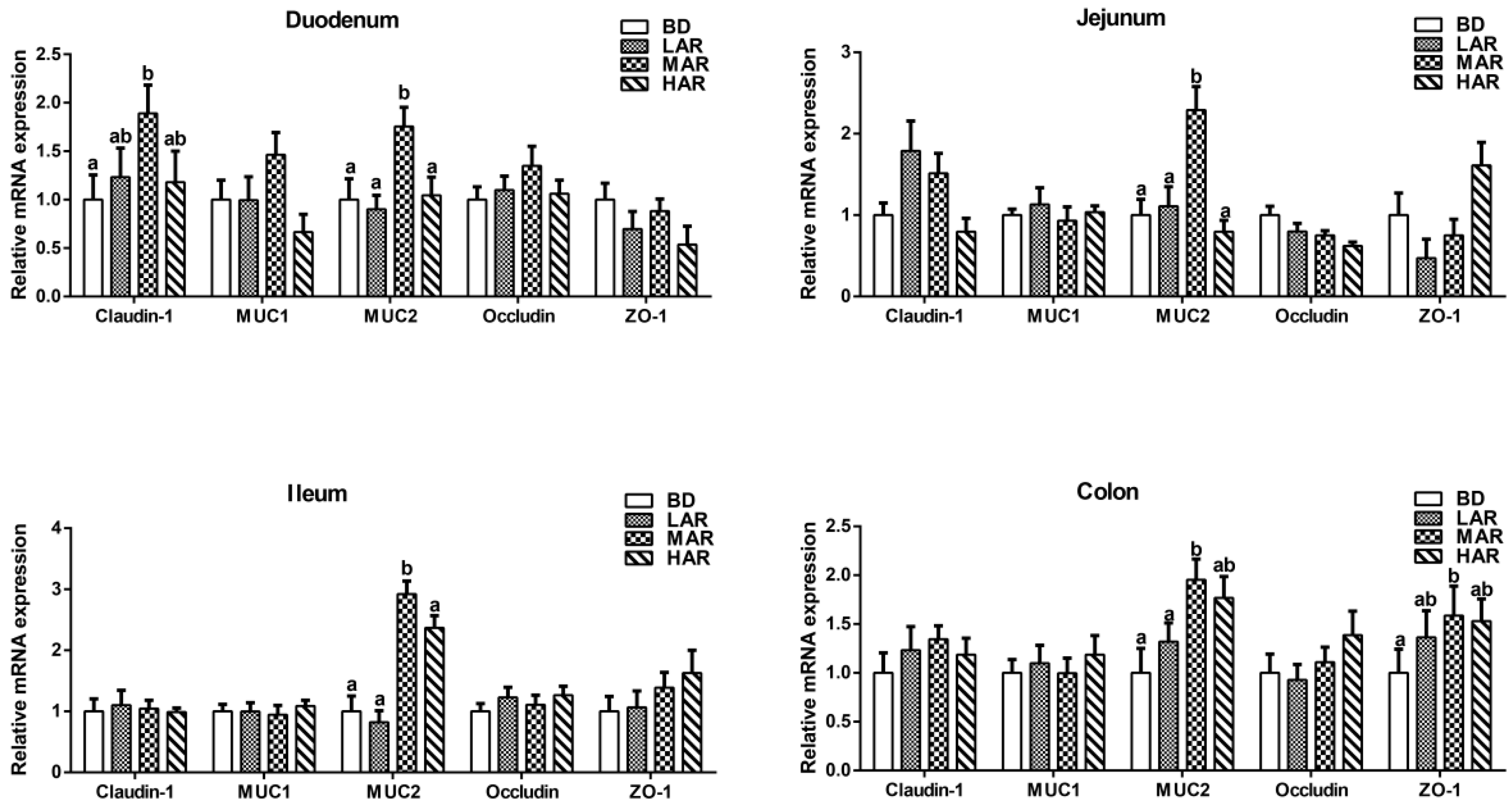 Animals 14 03569 g002