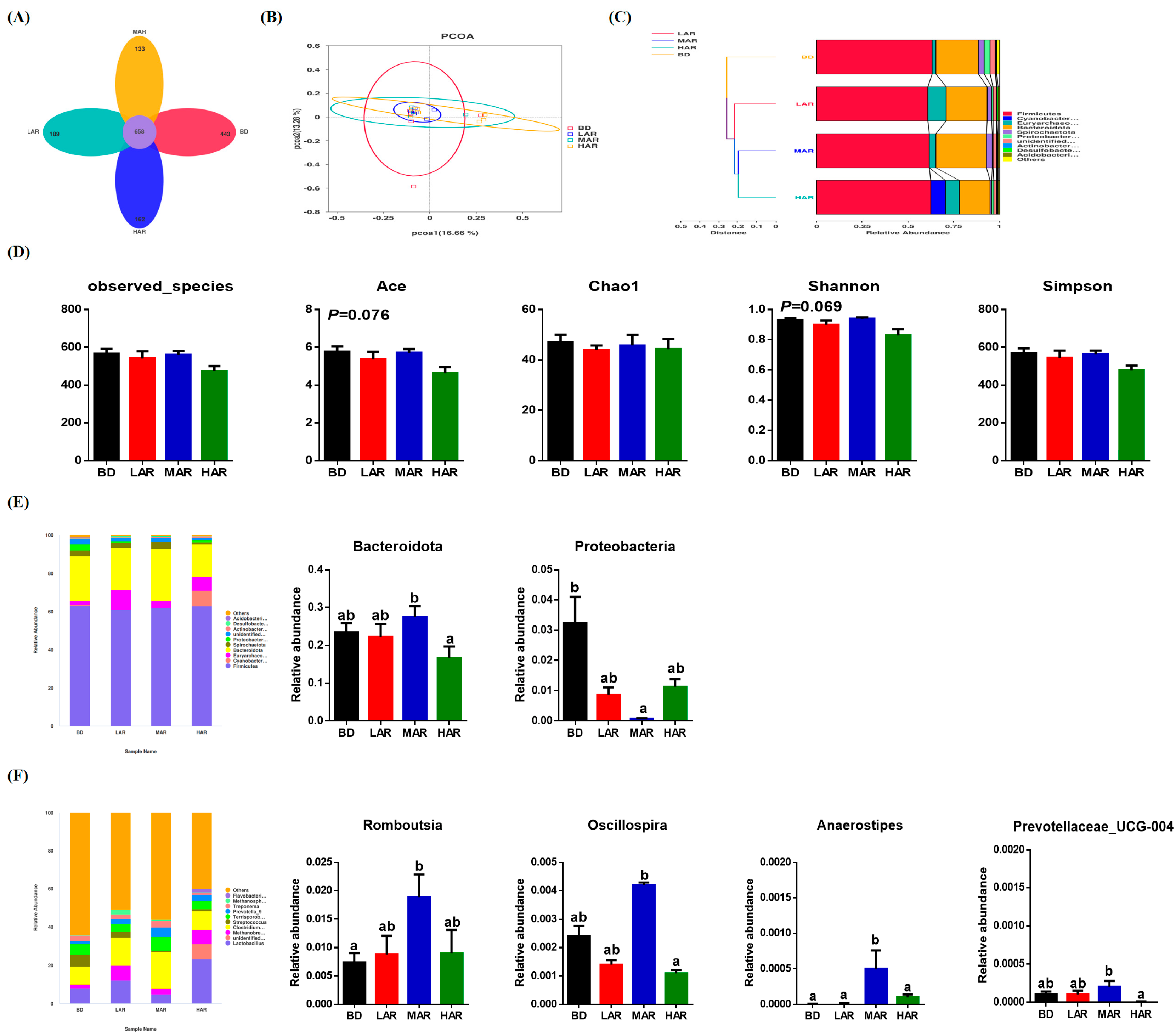 Animals 14 03569 g003