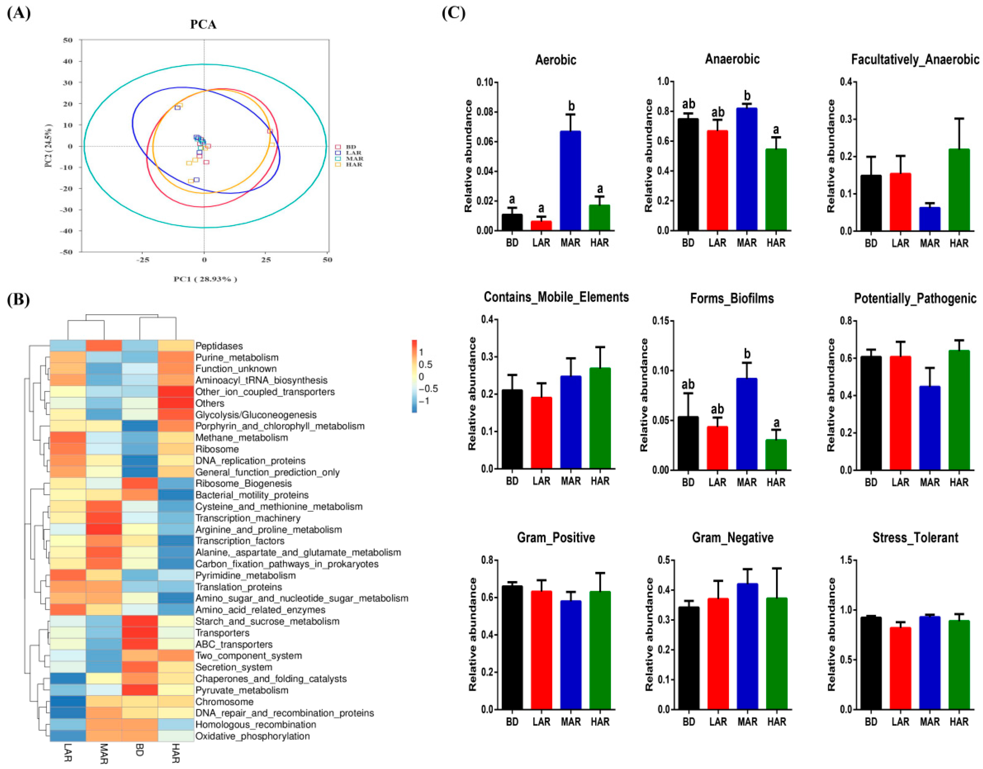 Animals 14 03569 g004