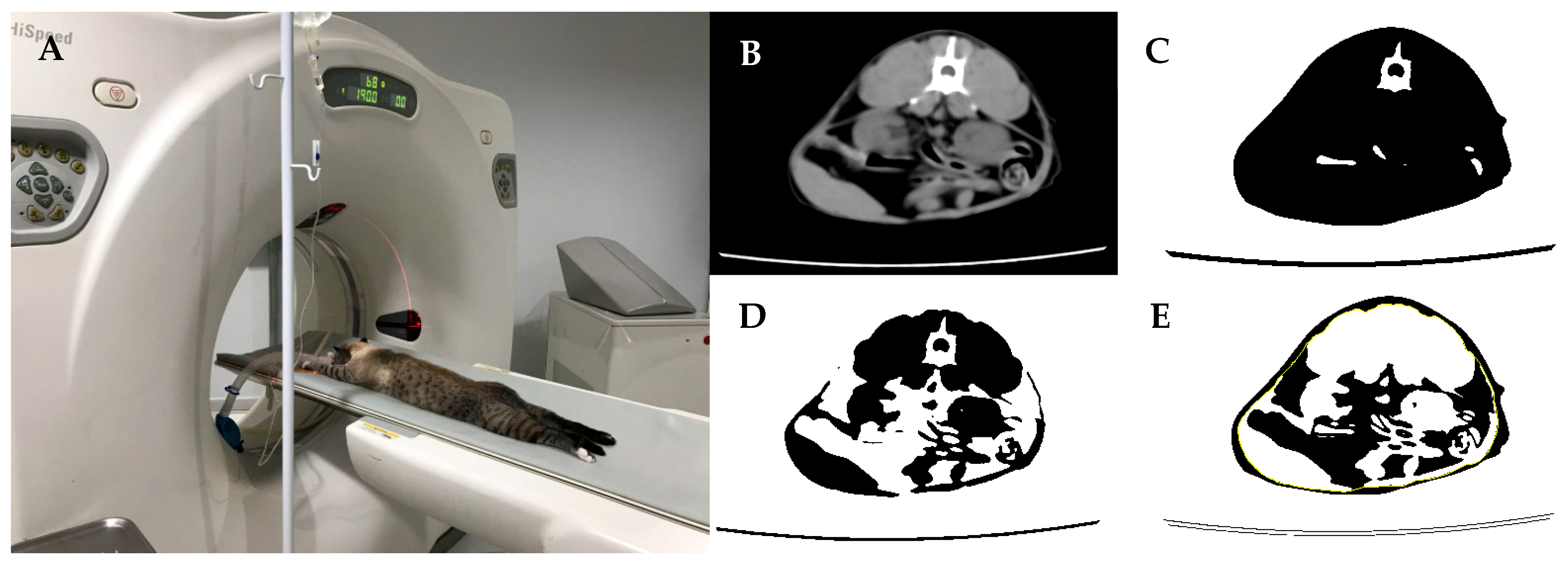 Animals 14 03574 g002 Animals 14 03574 g002