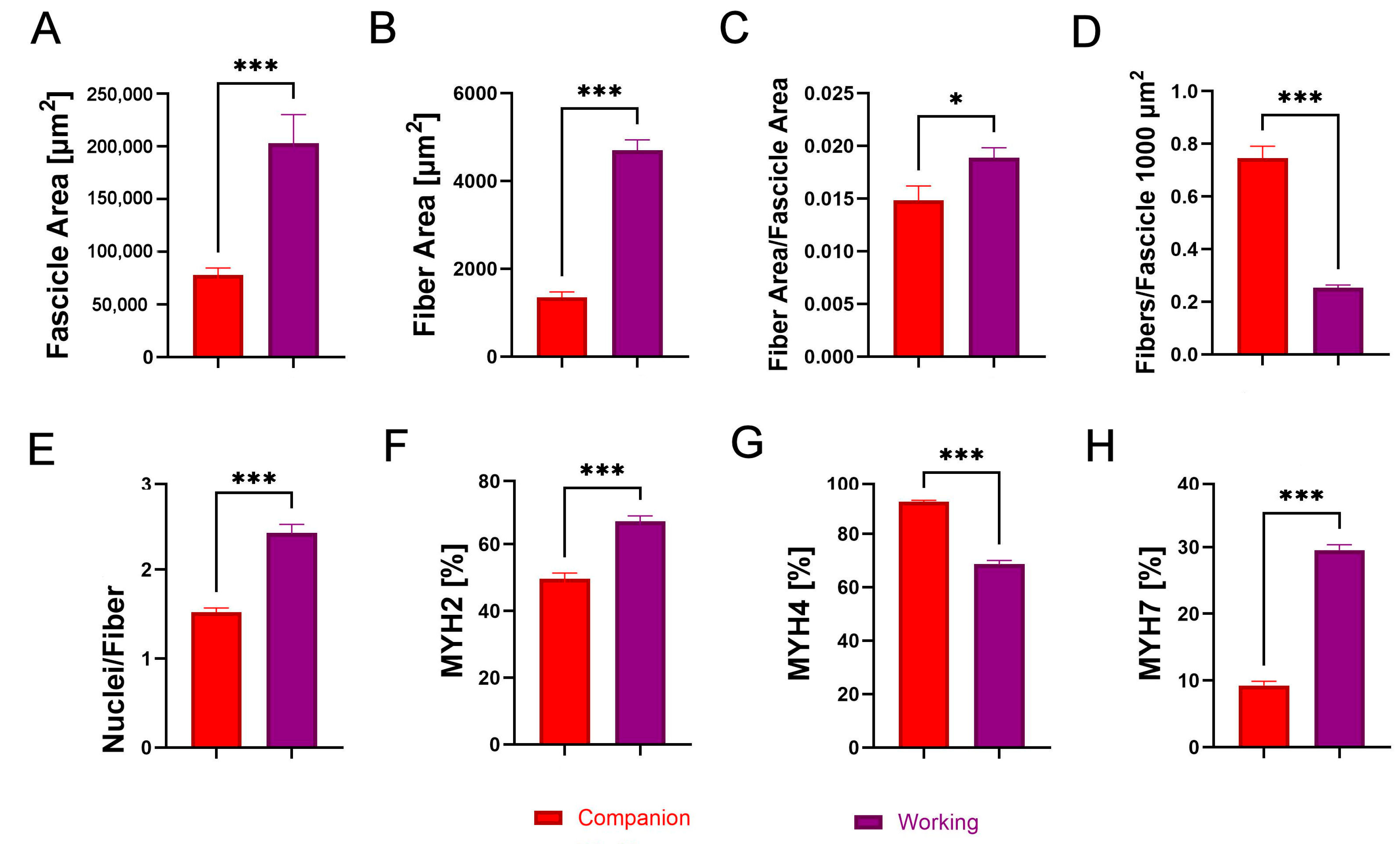 Animals 14 03576 g001