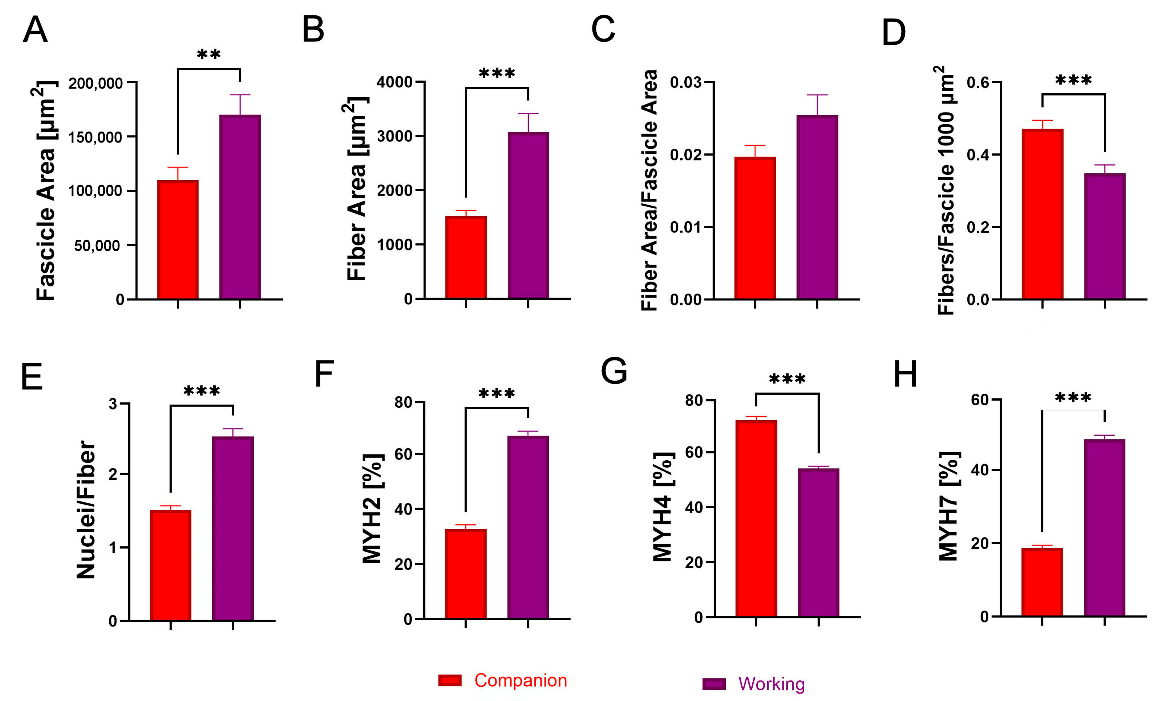 Animals 14 03576 g003