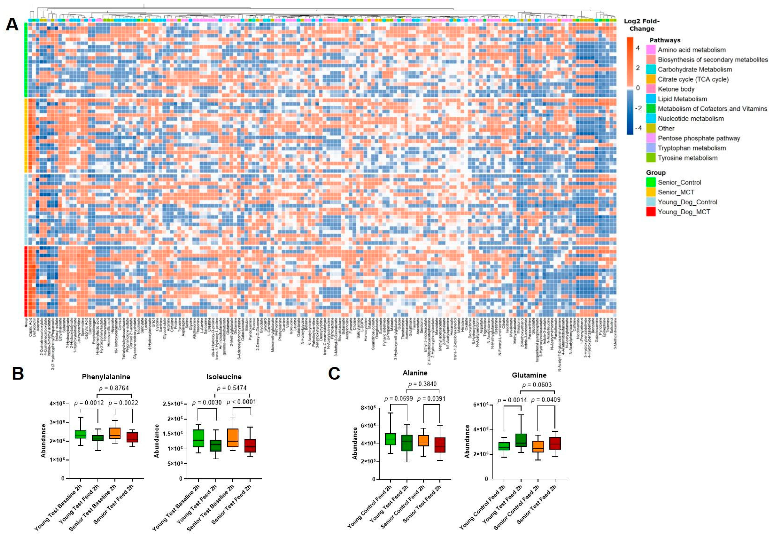 Animals 14 03577 g004