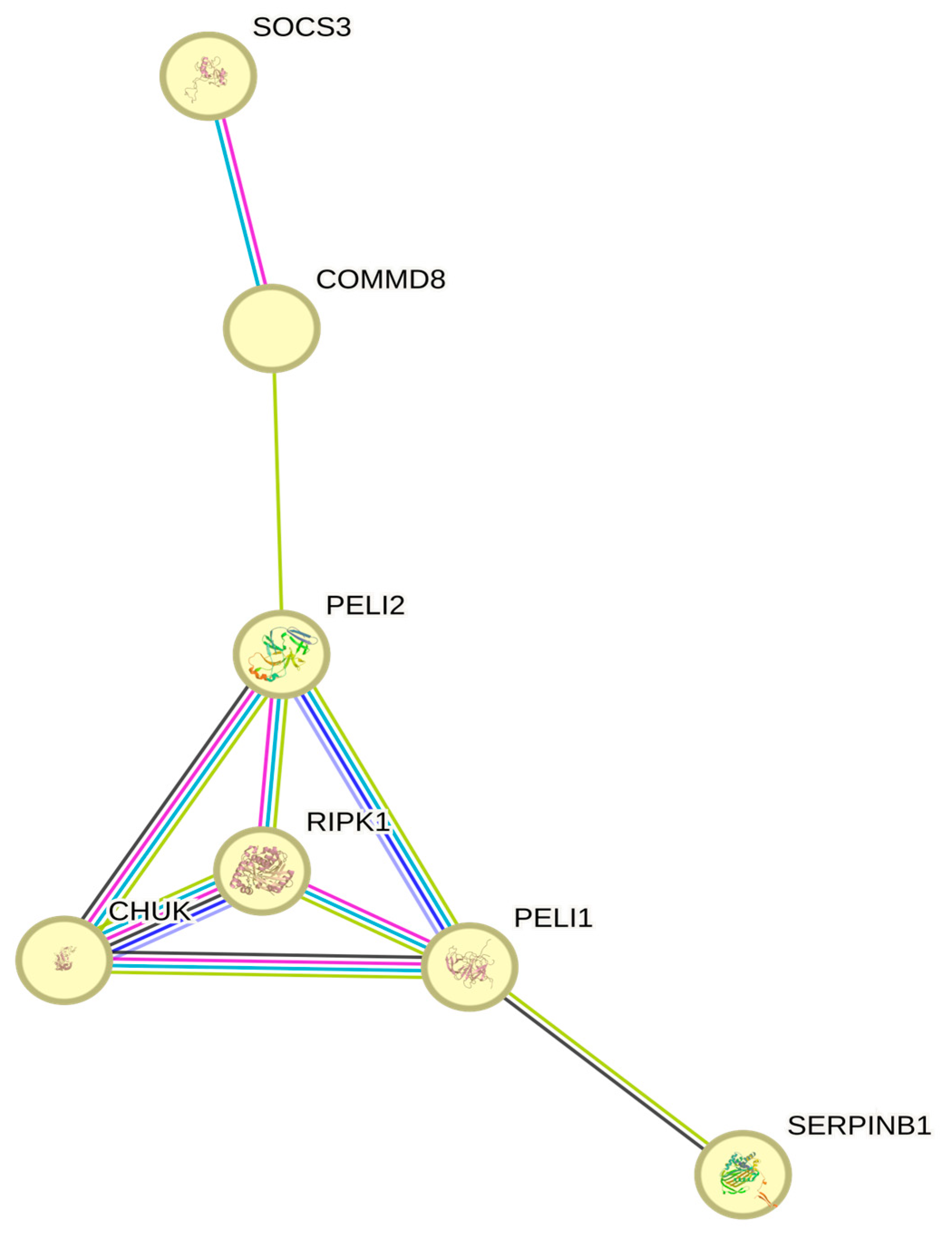 Animals 14 03585 g002