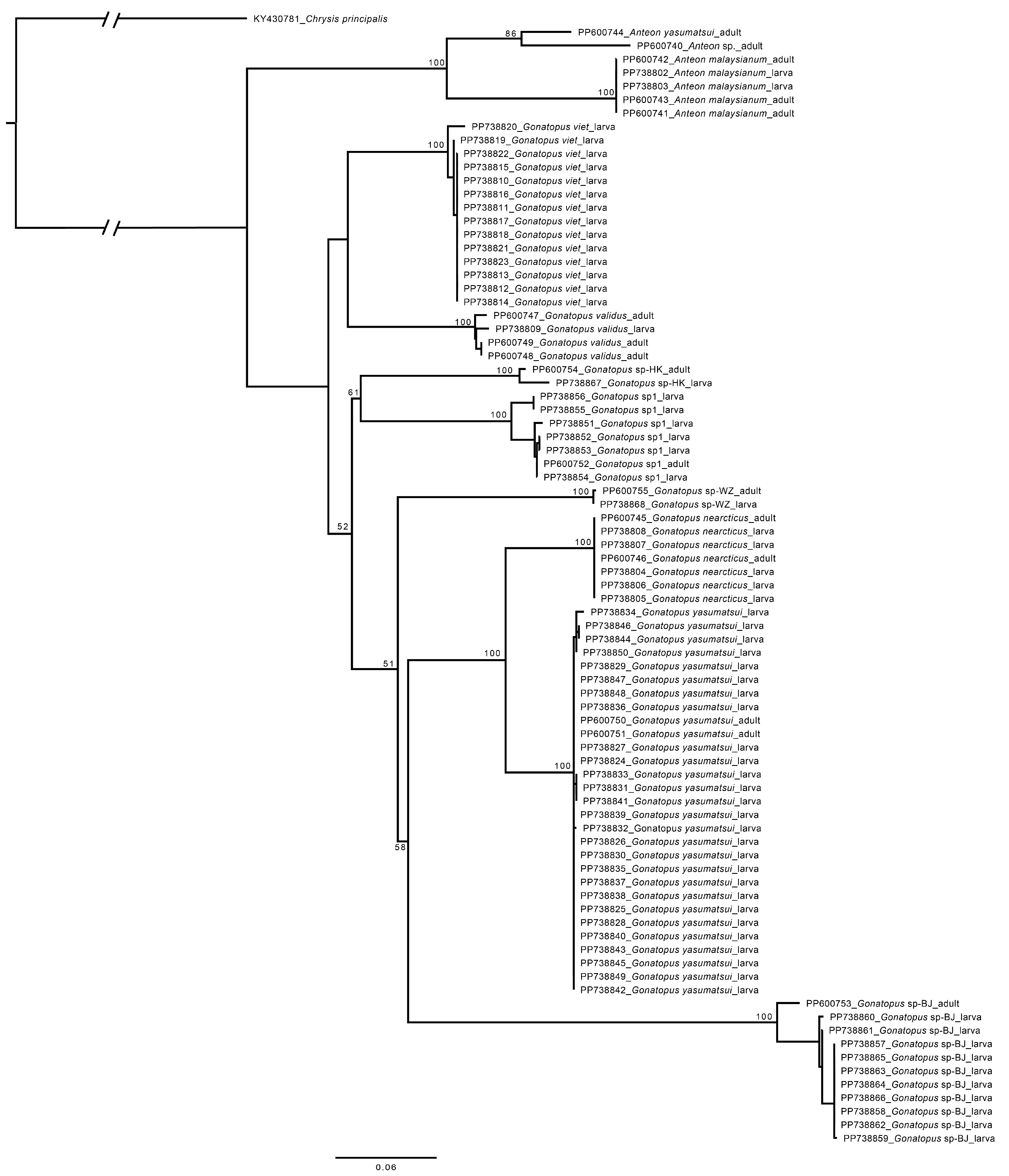 Animals 14 03587 g003 Animals 14 03587 g003