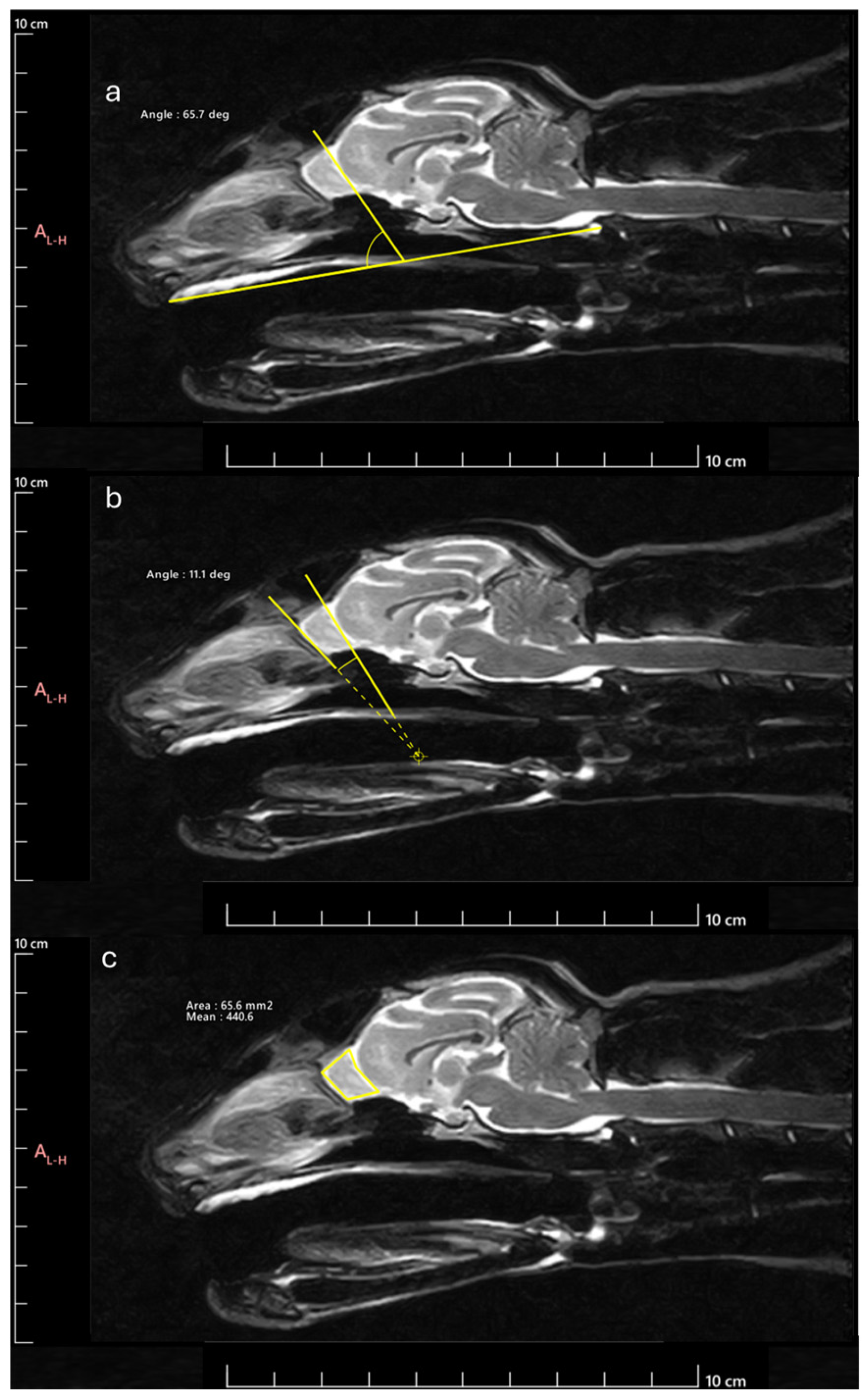 Animals 14 03590 g002