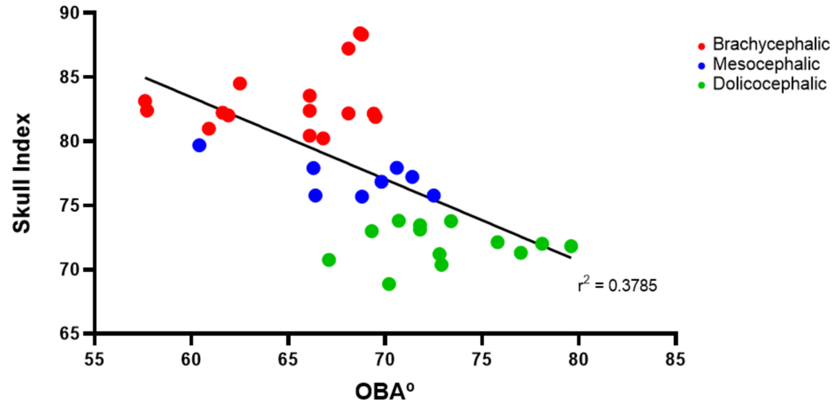 Animals 14 03590 g004