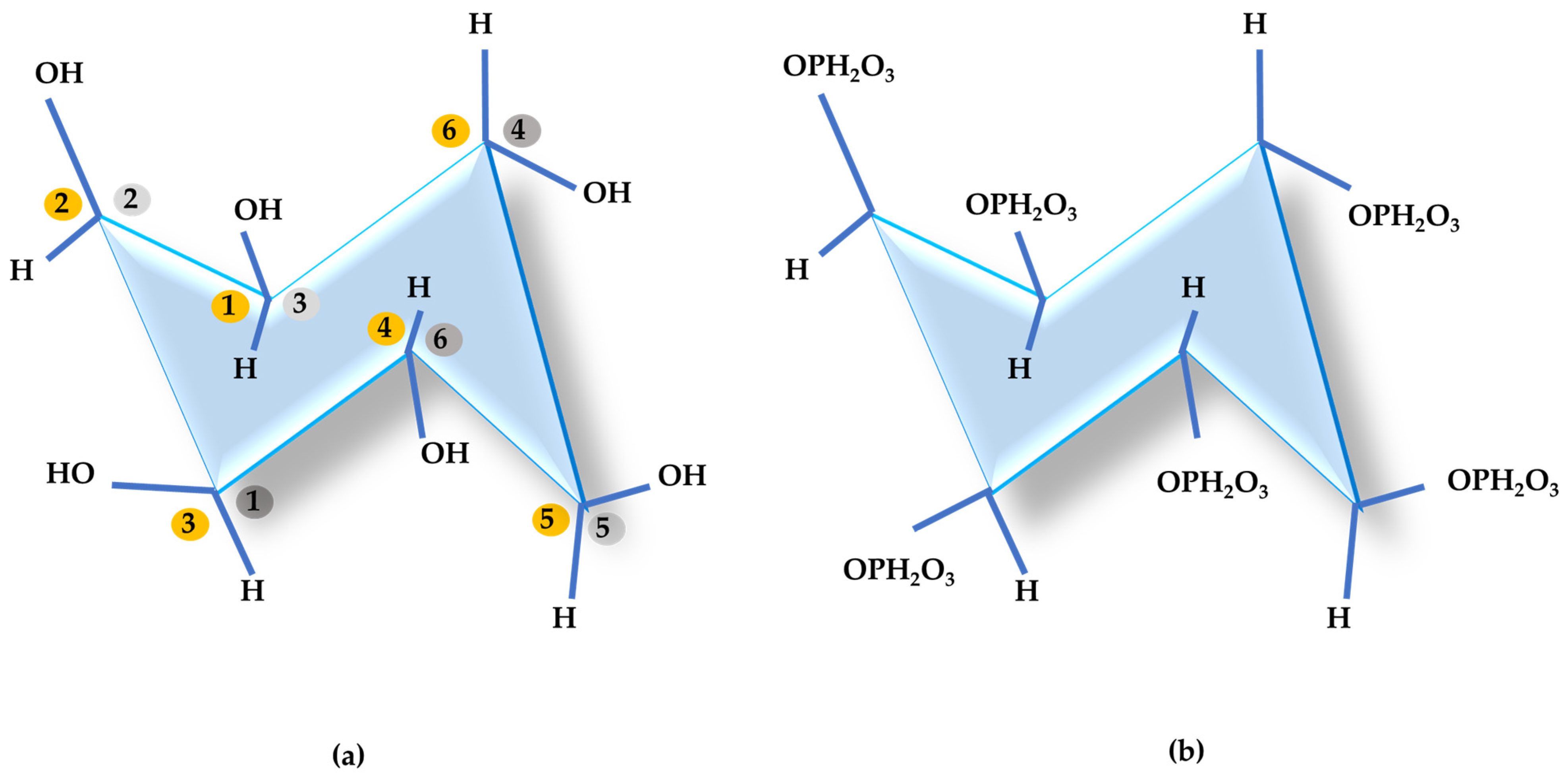 Animals 14 03599 g001 Animals 14 03599 g001