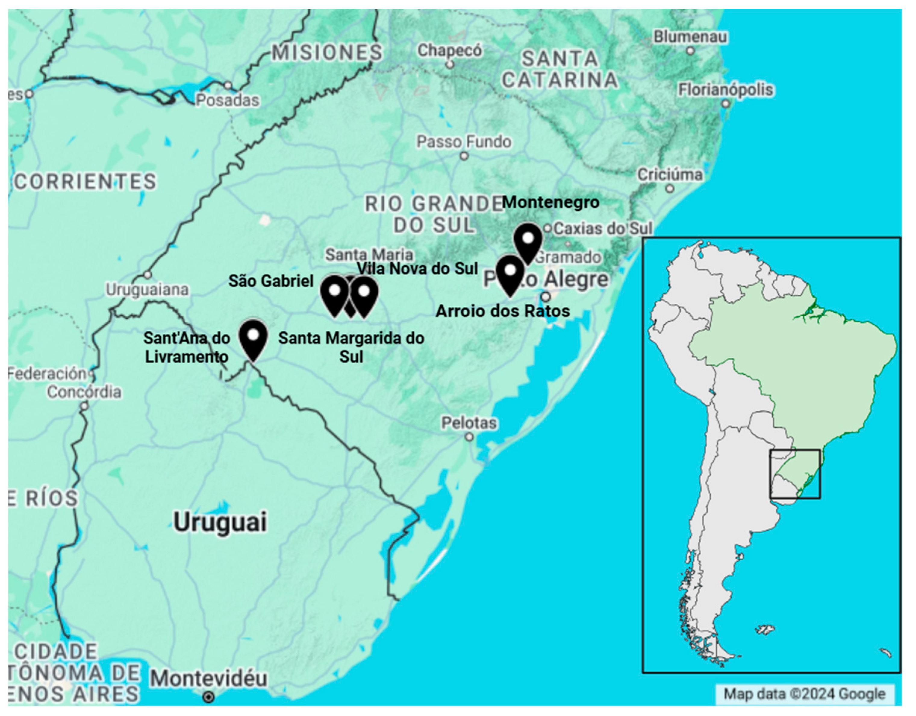 Animals 14 03604 g001