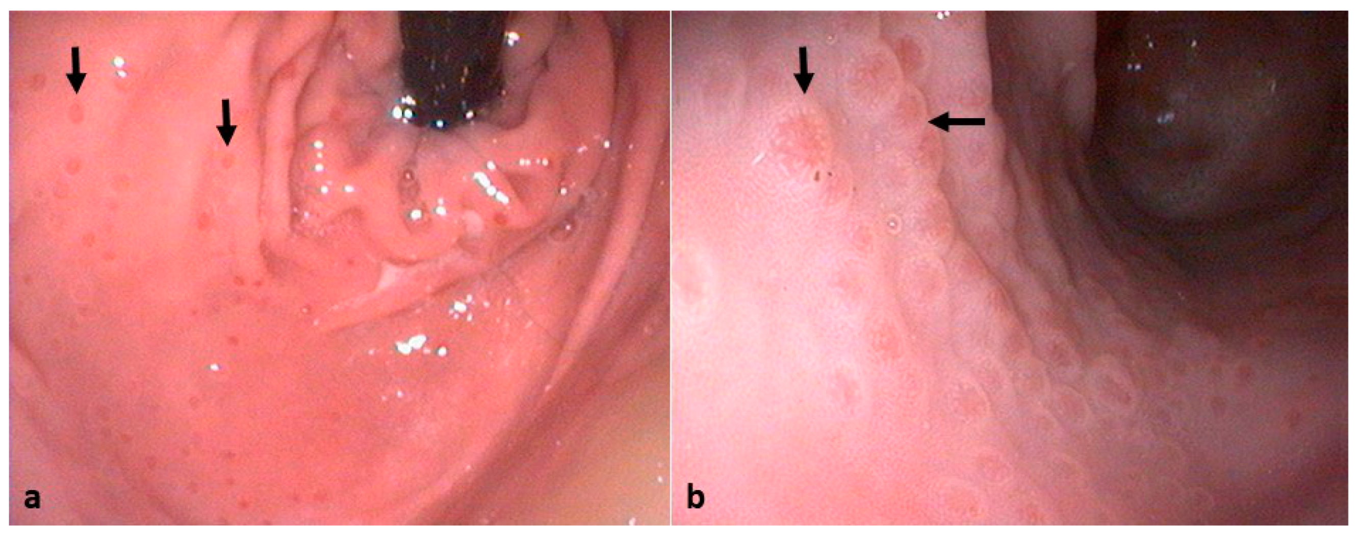 Animals 14 03605 g001