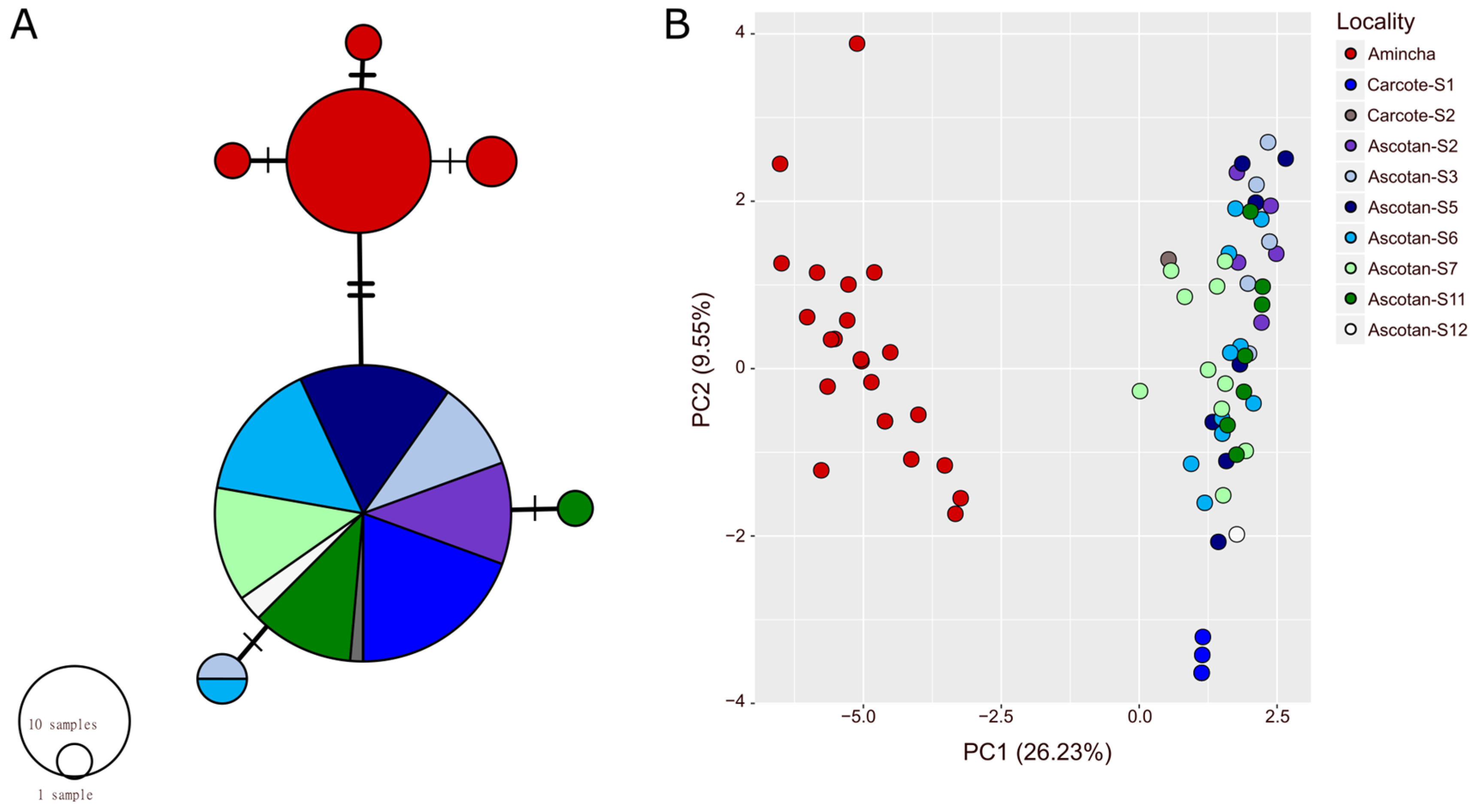 Animals 14 03612 g002