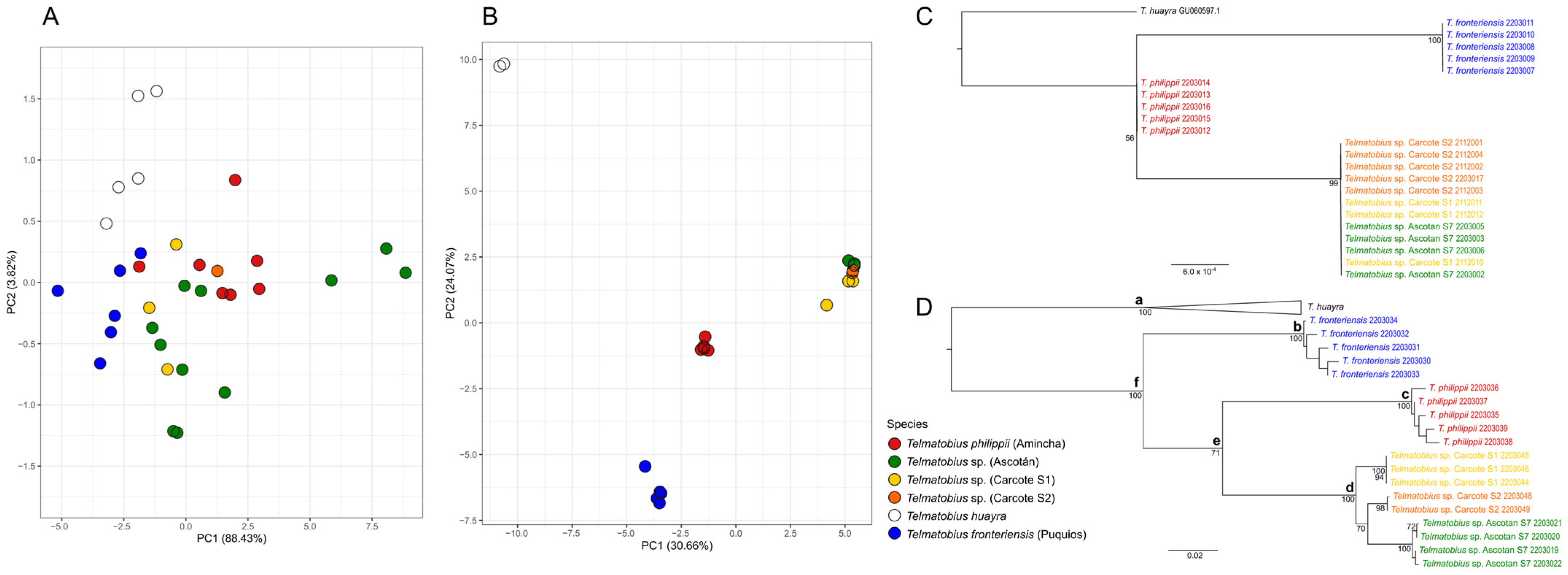 Animals 14 03612 g003