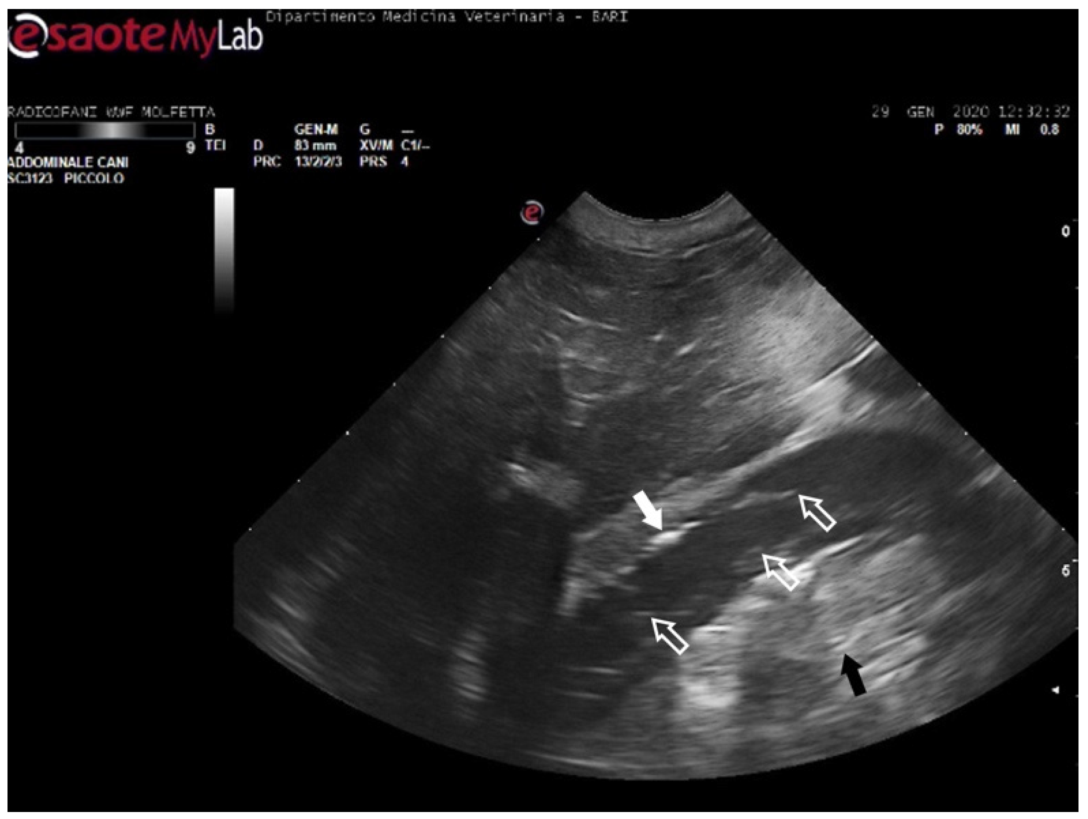 Animals 14 03623 g005