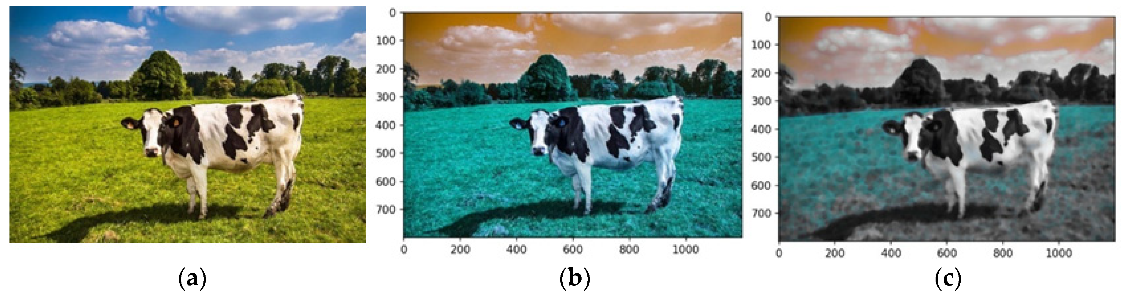 Animals 14 03626 g007