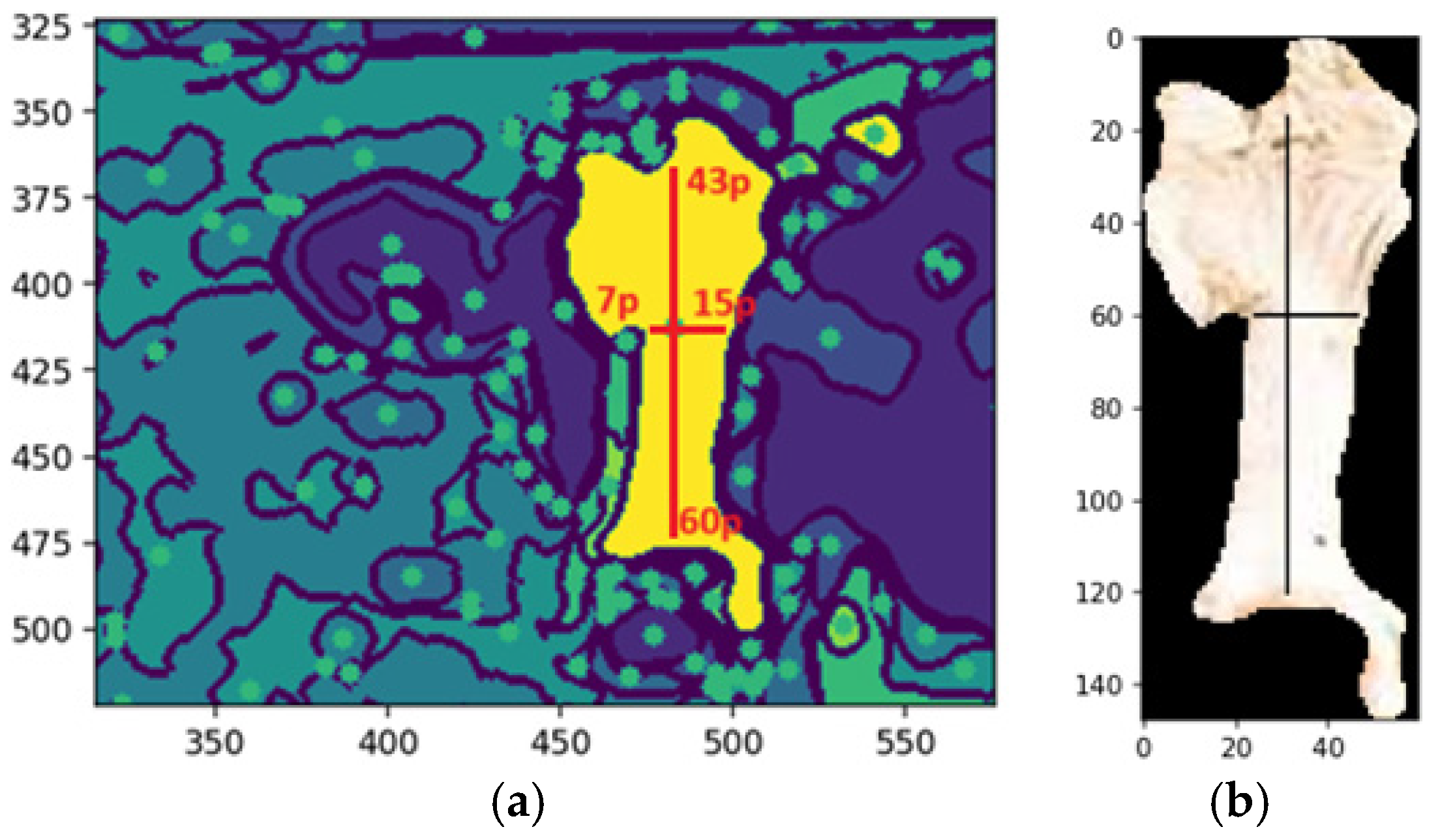 Animals 14 03626 g015