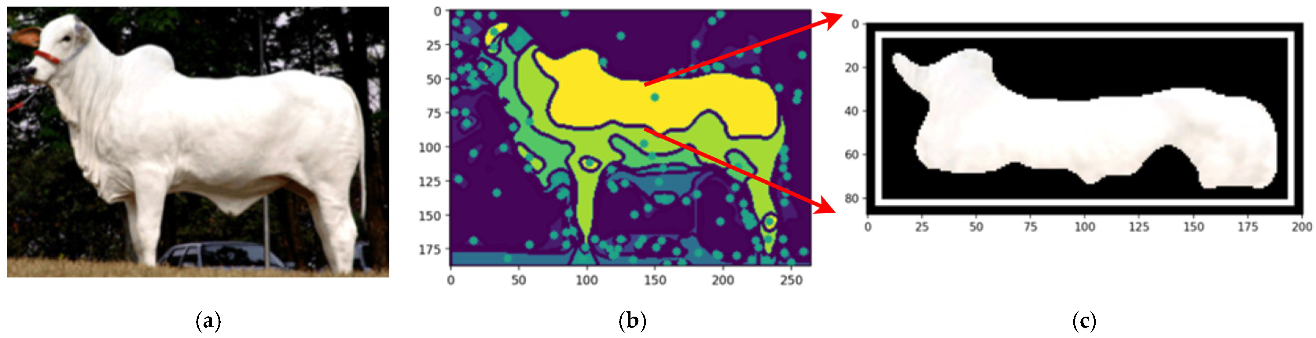 Animals 14 03626 g018