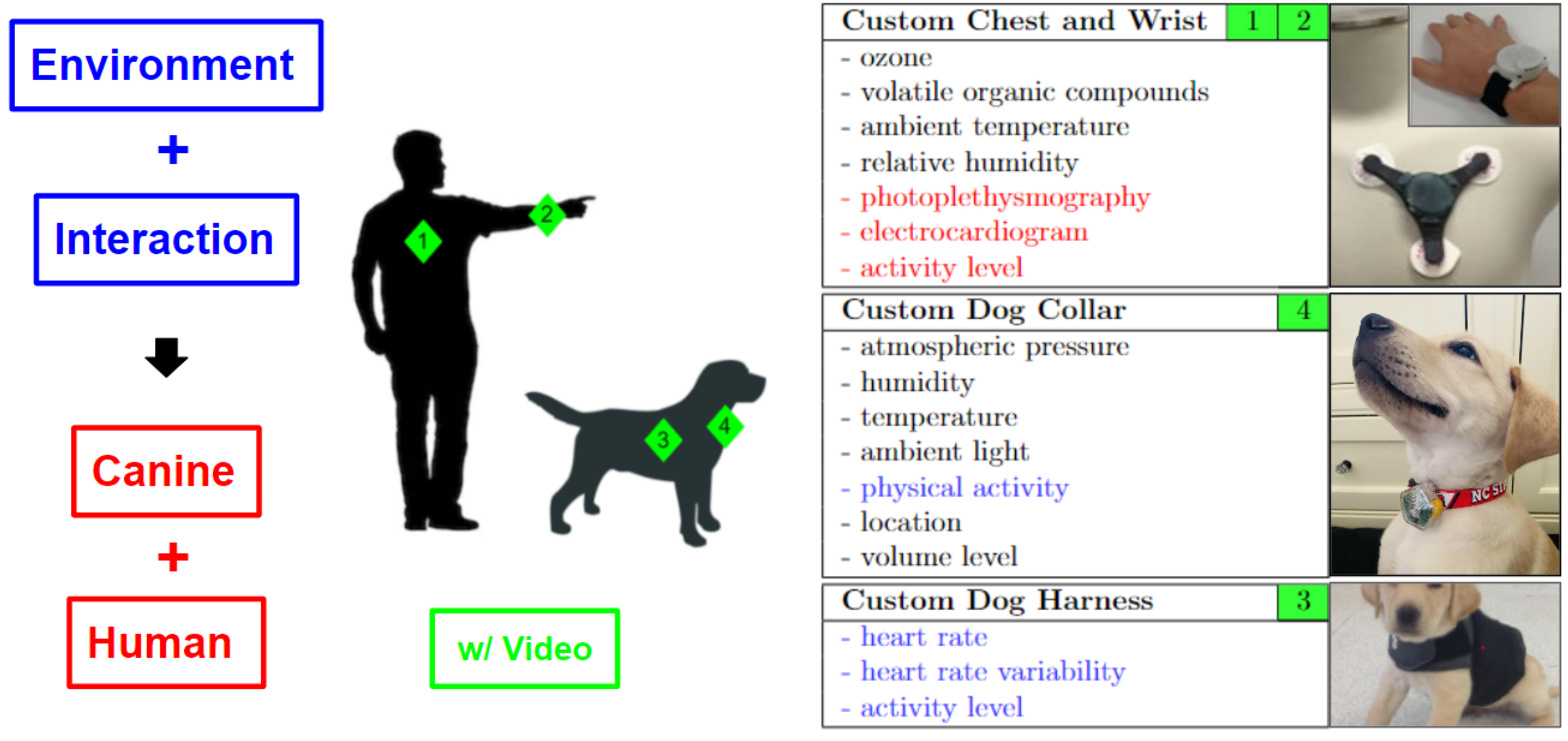 Animals 14 03628 g001