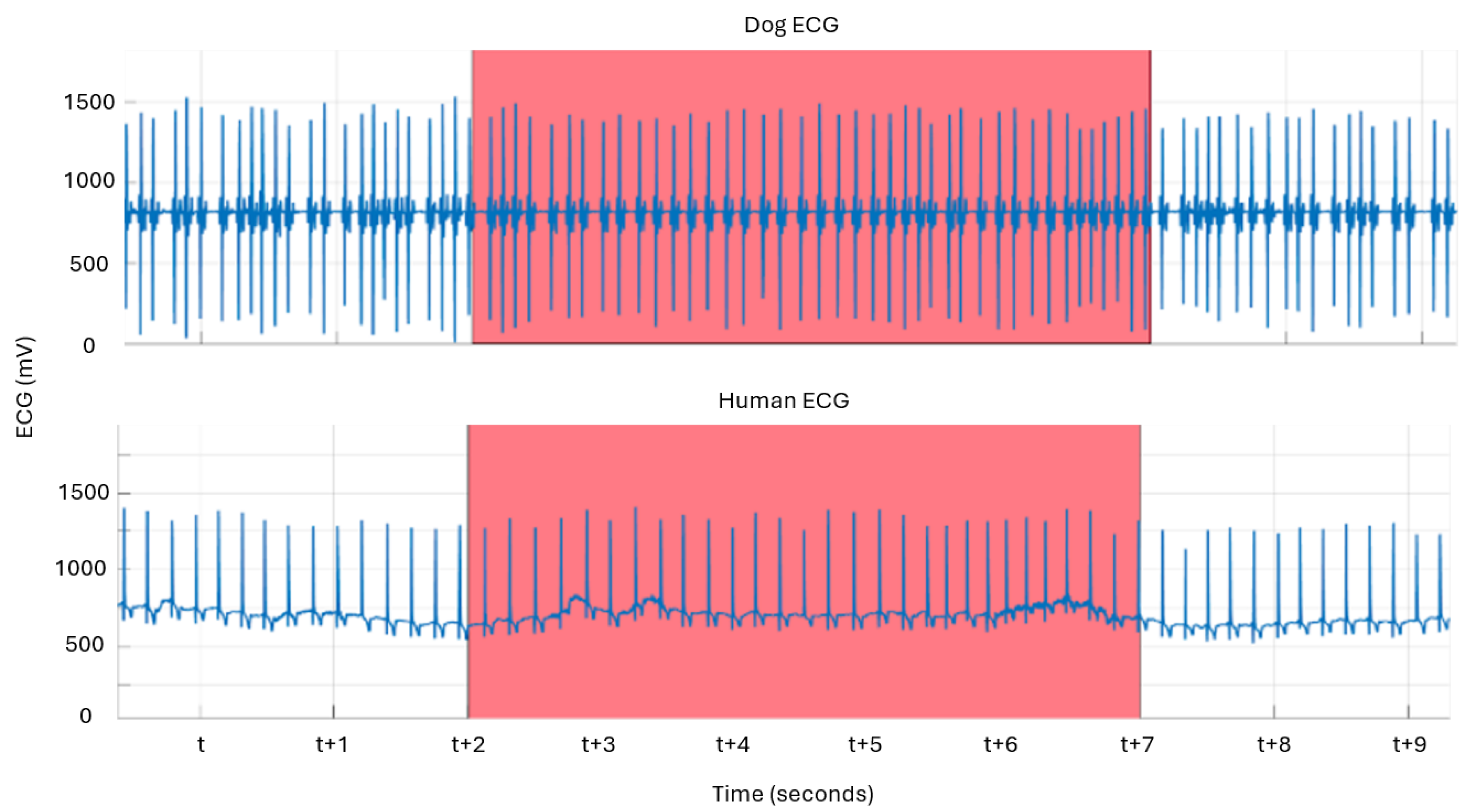 Animals 14 03628 g005