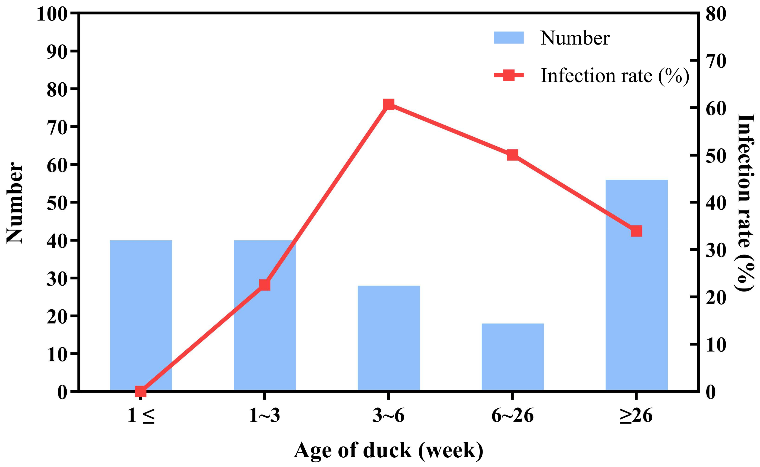 Animals 14 03630 g002 Animals 14 03630 g002