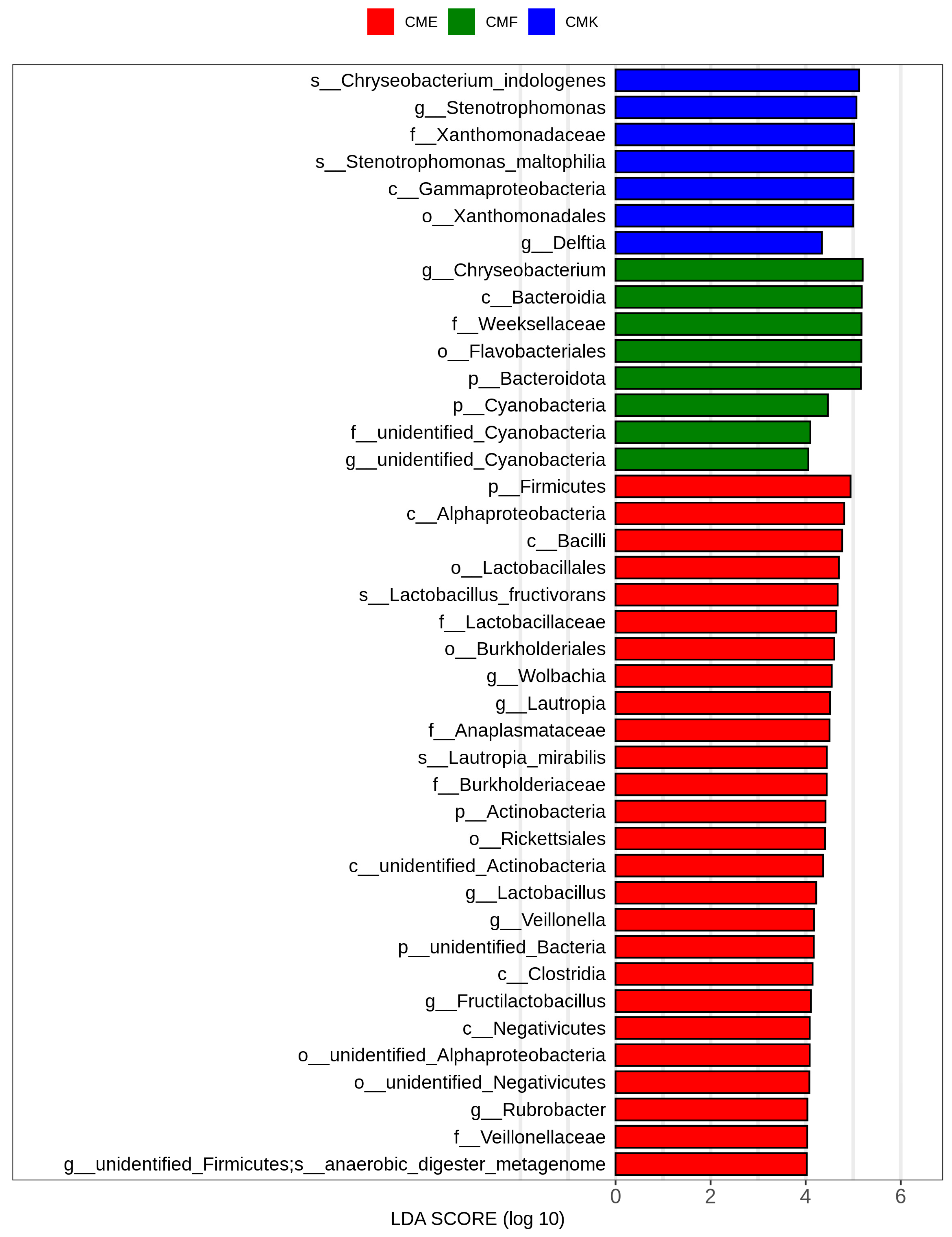 Animals 14 03634 g006