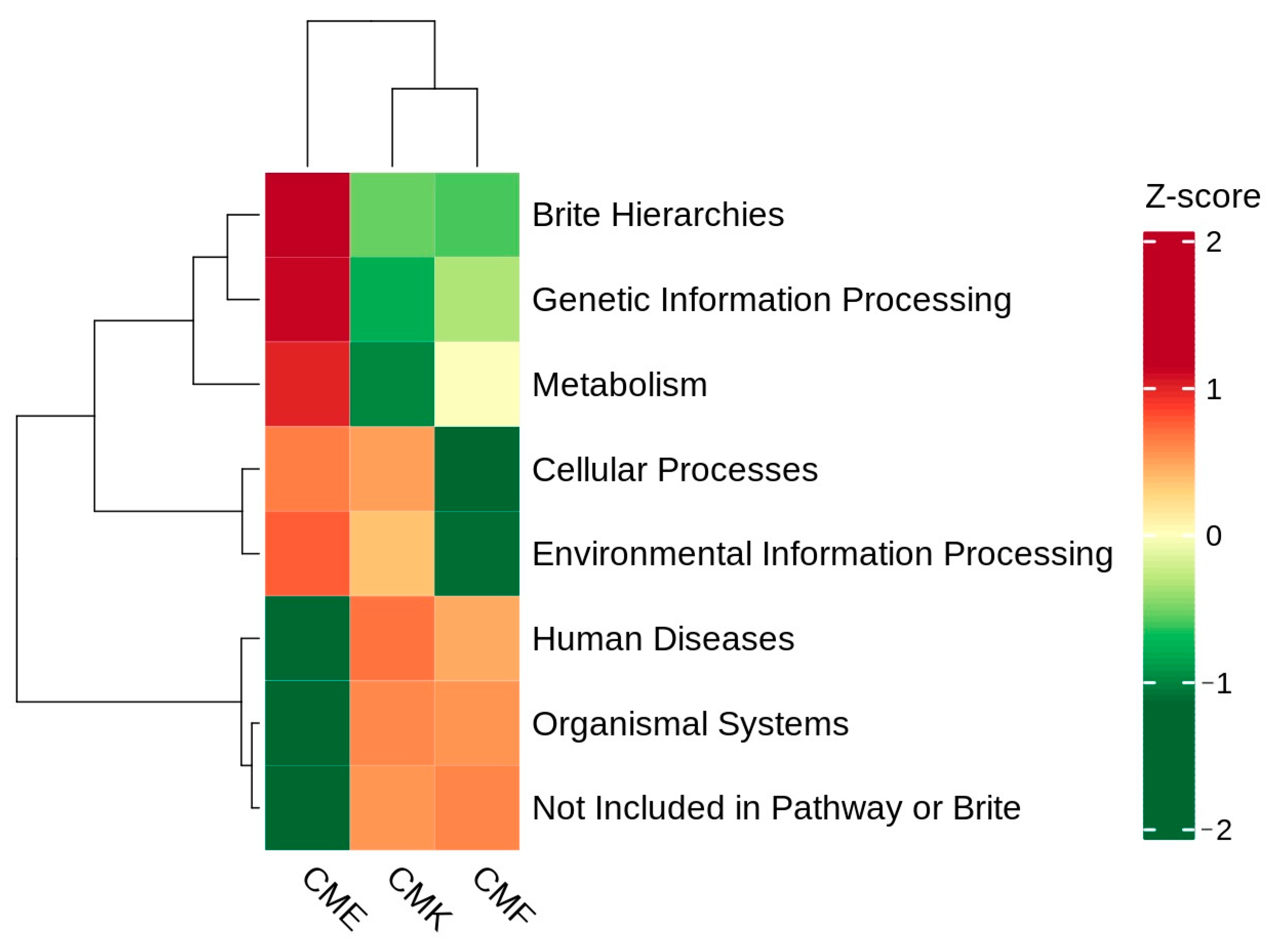 Animals 14 03634 g009