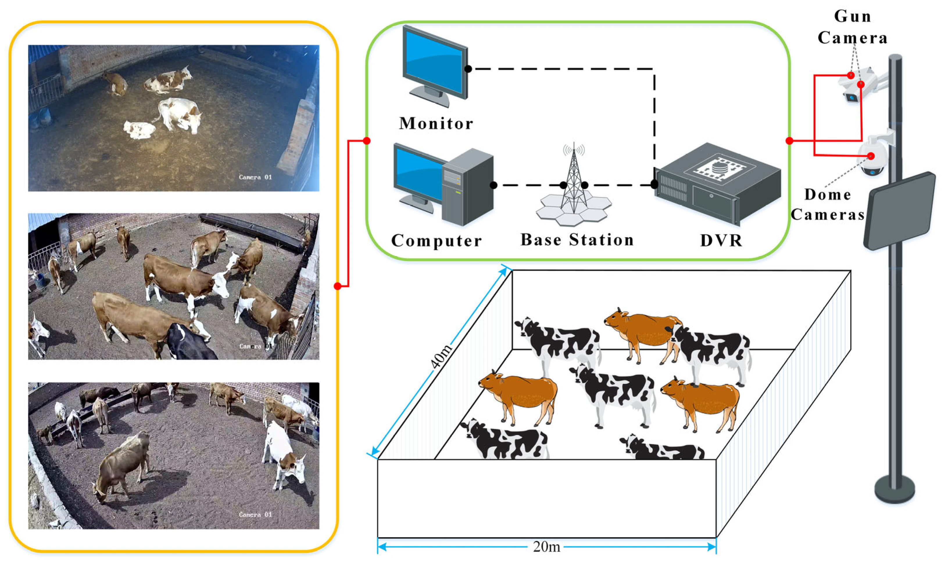 Animals 14 03635 g001